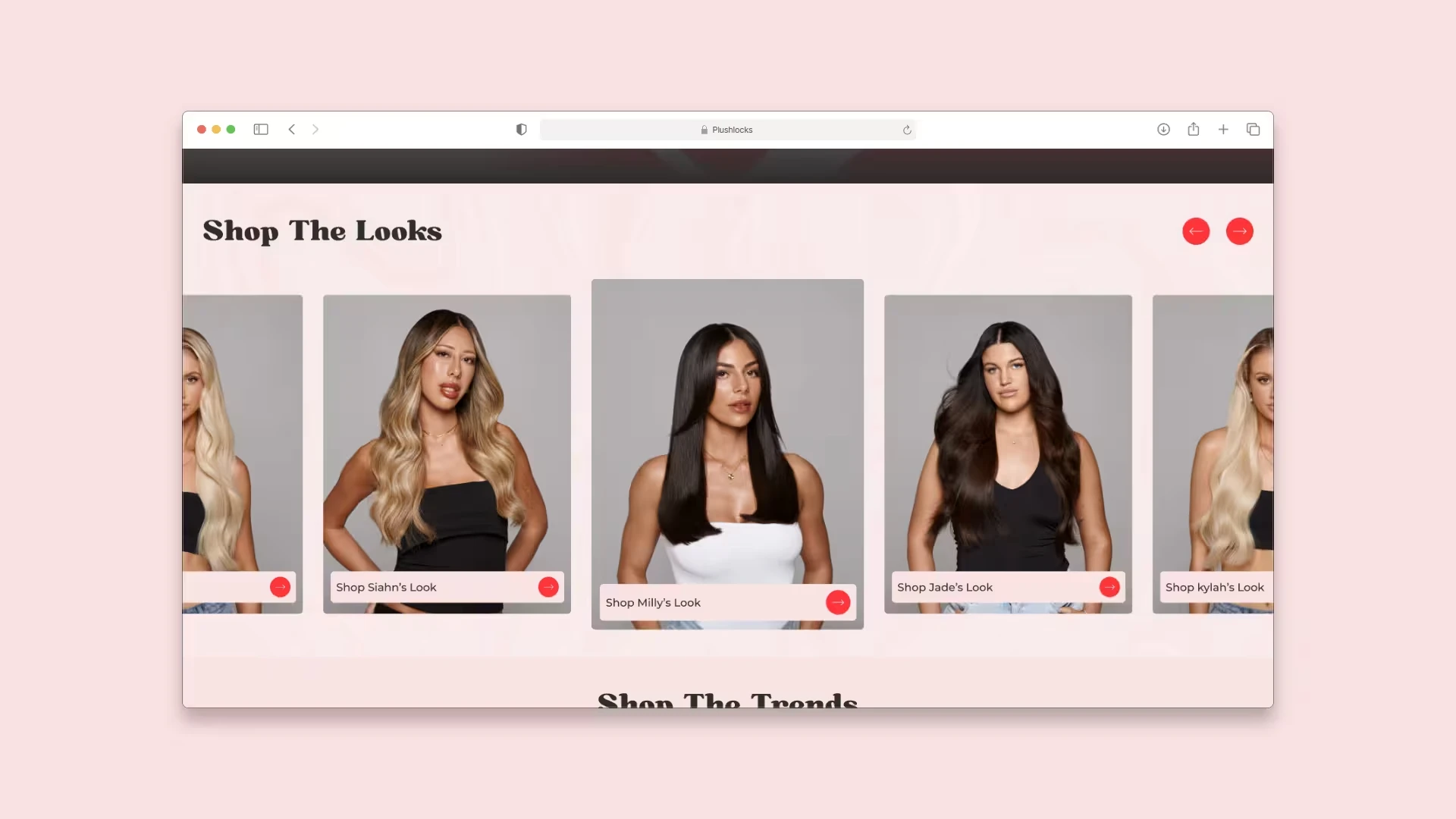 Desktop UI layout of the Plushlocks product catalog, showcasing a clean, image-heavy grid and intuitive filtering for hair care products.