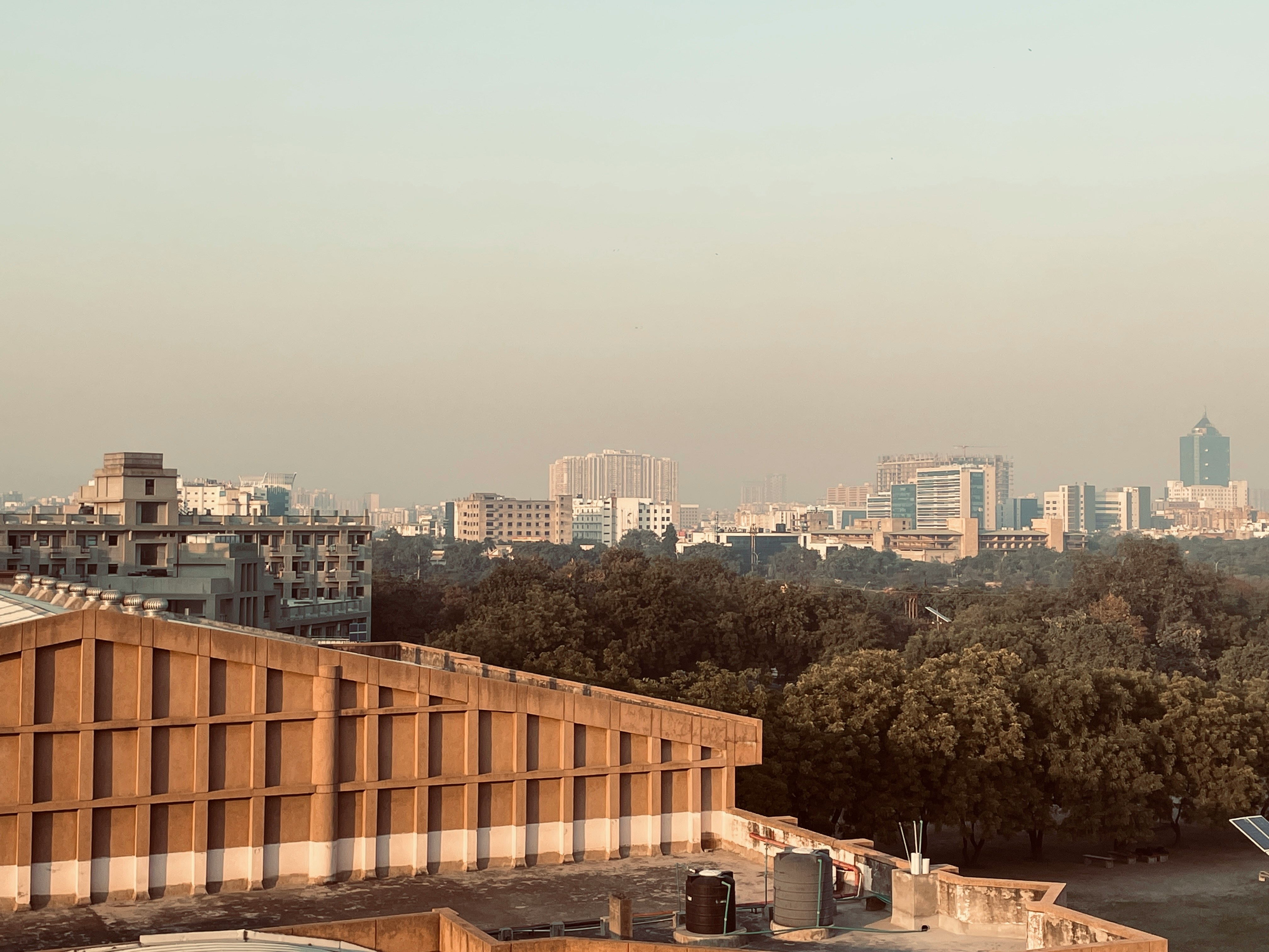 City skyline with buildings and trees at sunset.