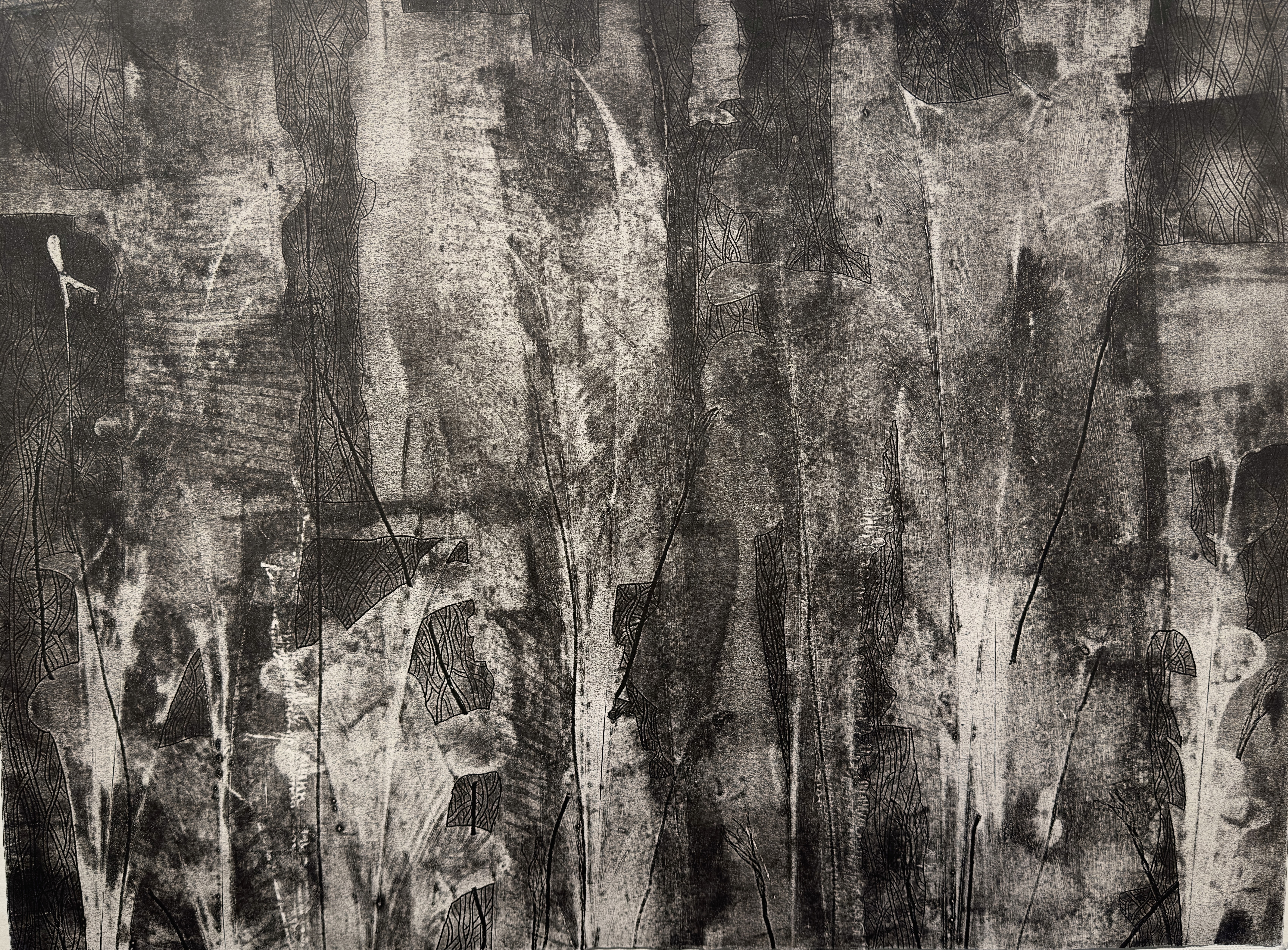 Scapes by Audeep Cariens