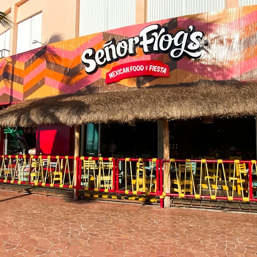 Señor Frog's Cozumel: Frog's Pass 票