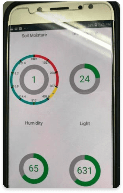 App screen of Phyto interface