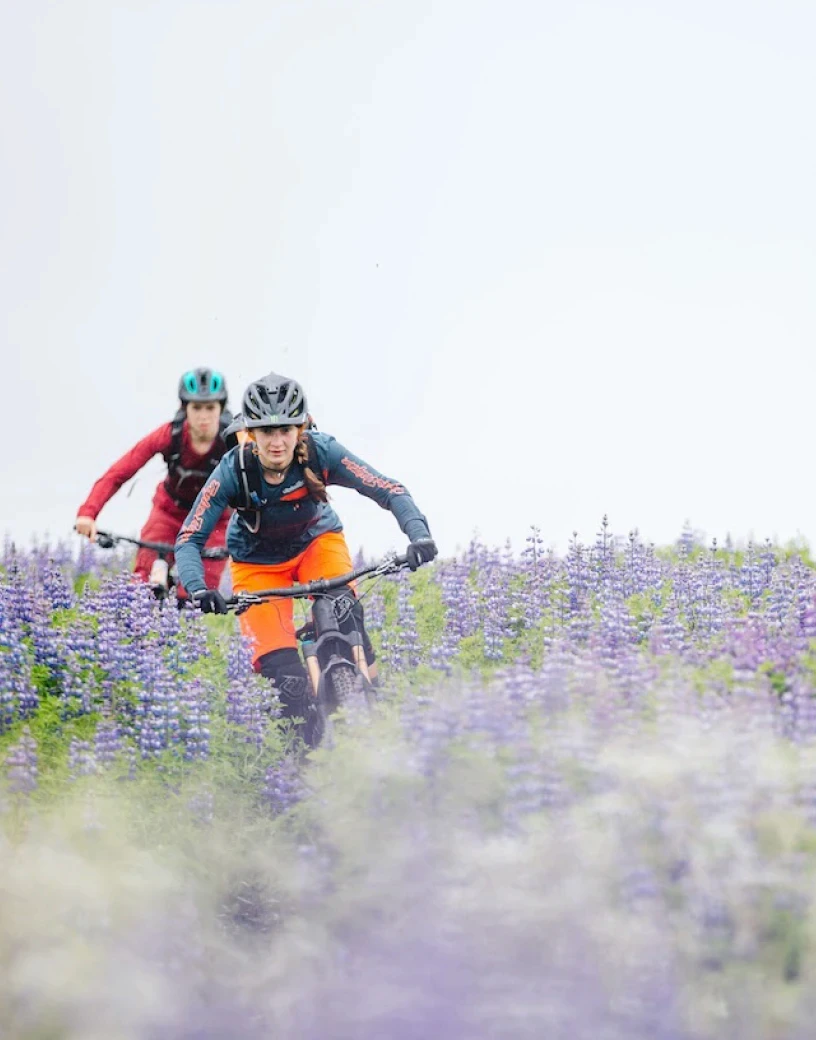 Mosfellsbaer Town, Iceland