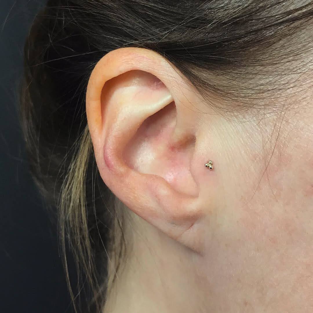 trangus piercing