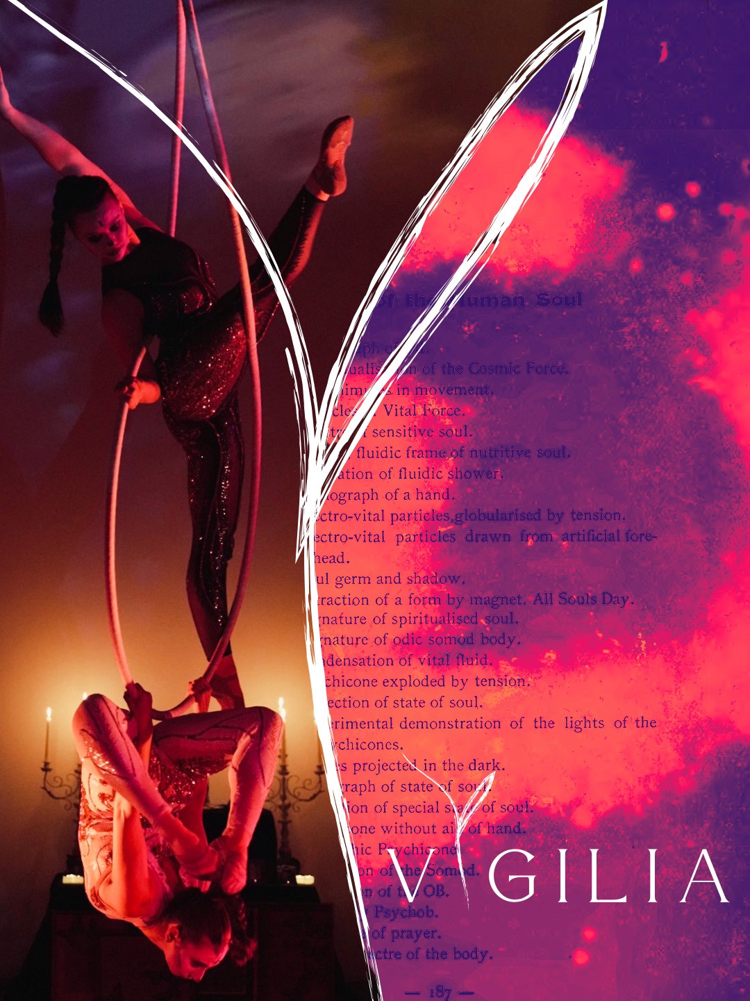 Aerial performer suspended in a hoop with a red and purple Vigilia collage