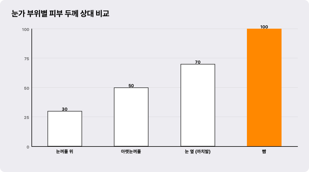 눈가 부위별 피부 두께 상대 비교