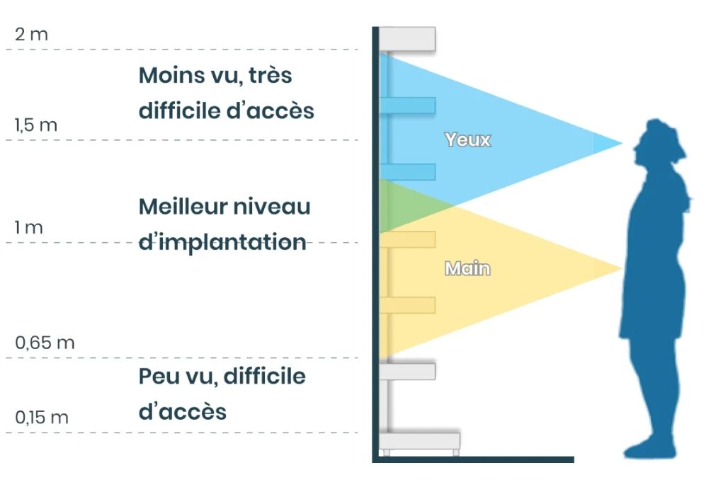 visibilite du lineaire en fonction des zones du rayon