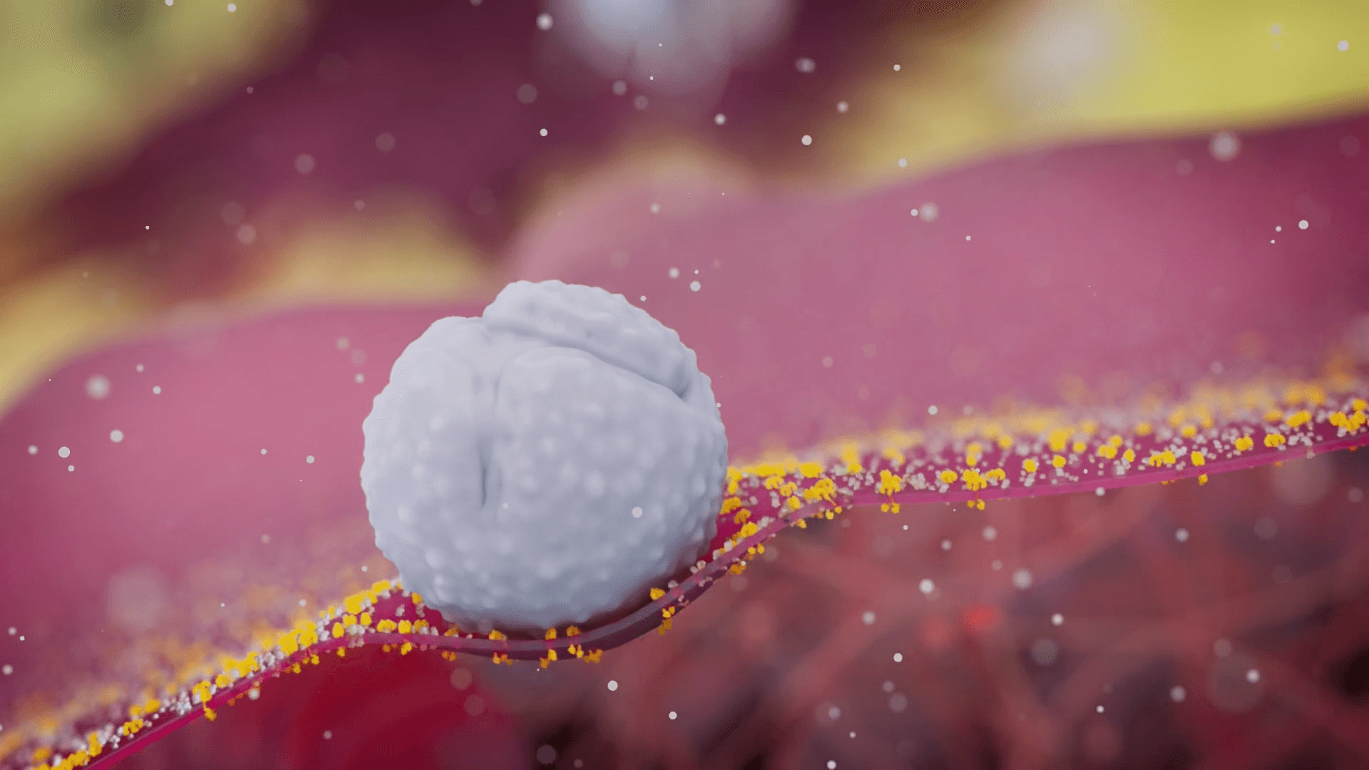 3D visualization of T cells and macrophages destroying cancer cells on the inner surface of the bladder