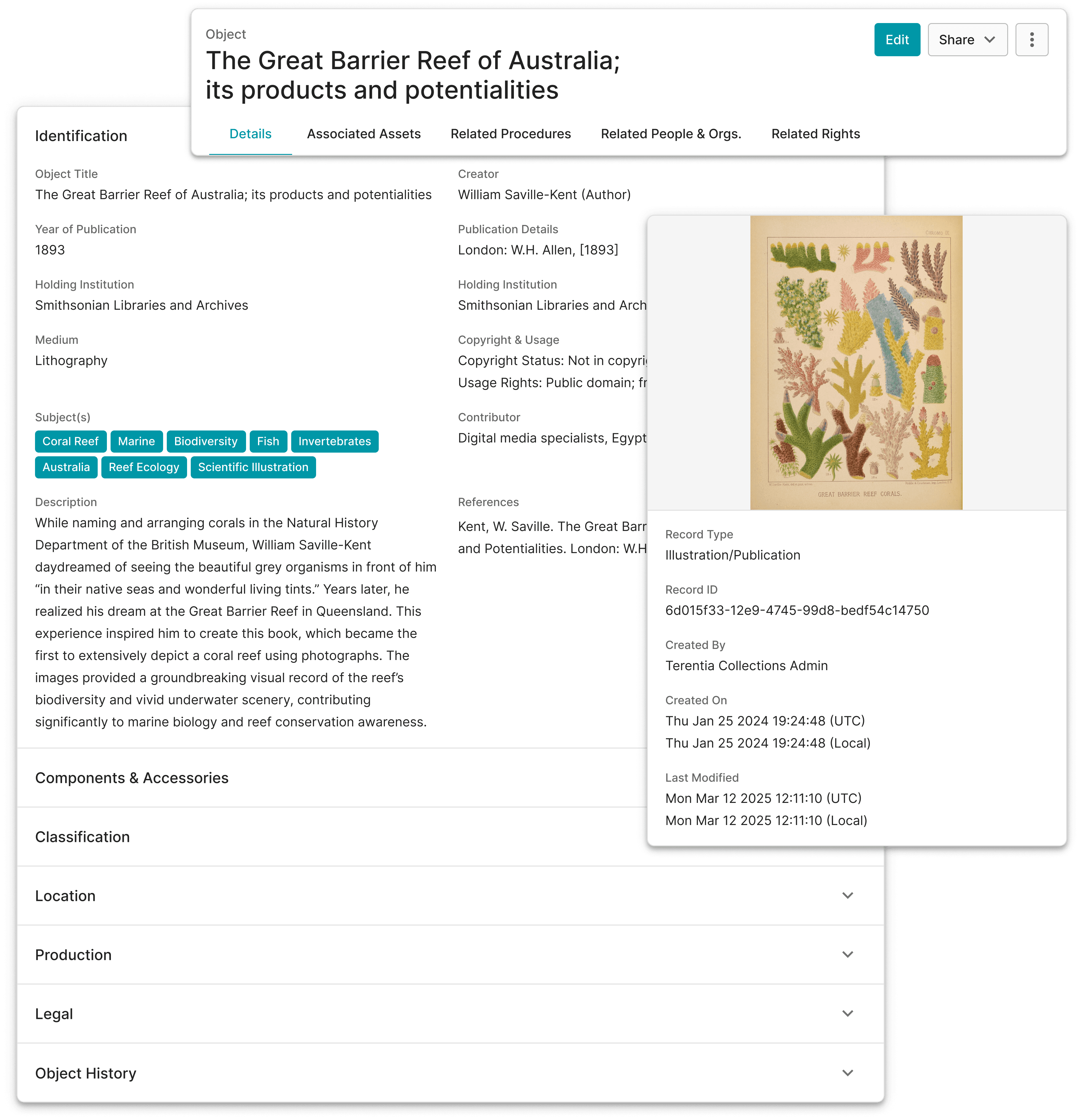 Illustration of a woman standing by a software stack while holding a security shield