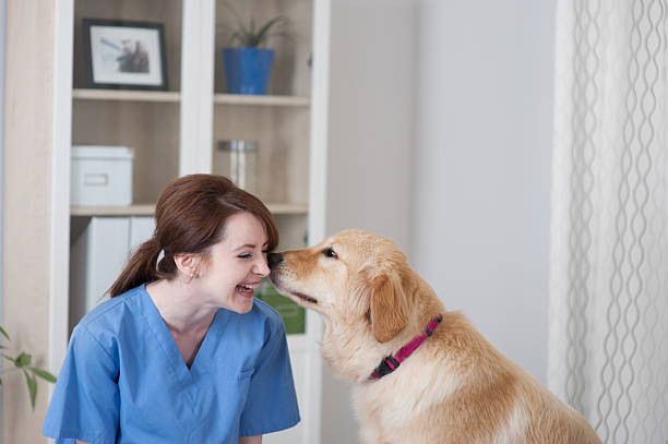 A veterinarian bonding with a dog patient during a home vet visit