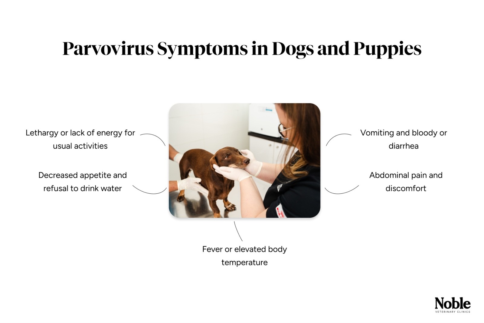 Symptoms of canine parvovirus