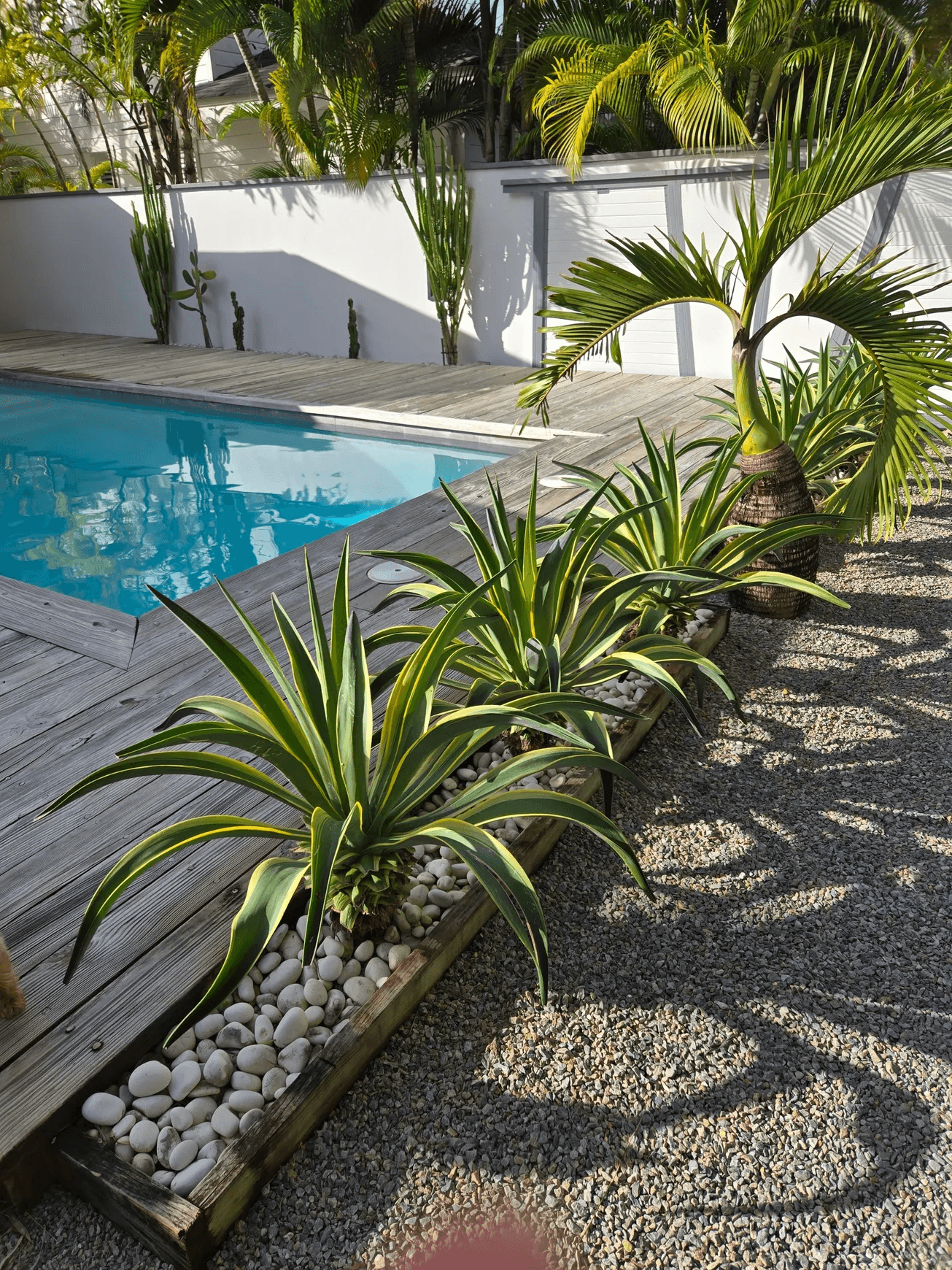 featured property