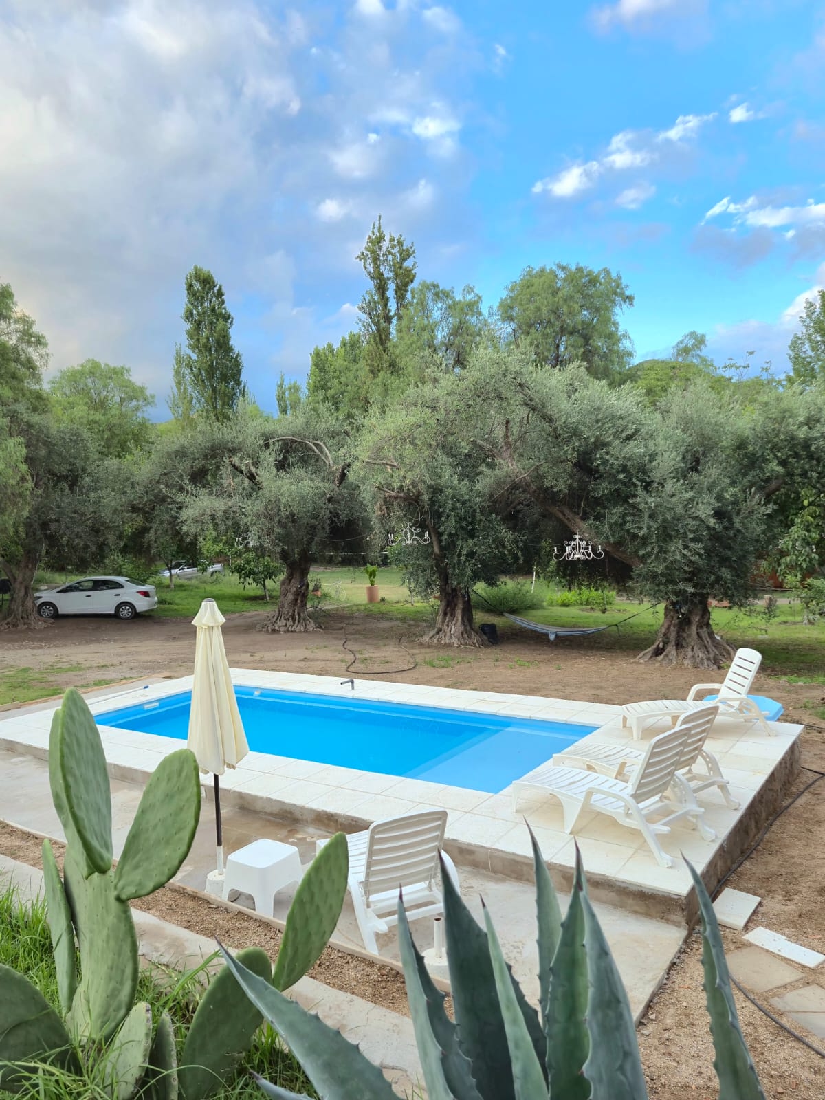 Luxury custom sofa and chairs