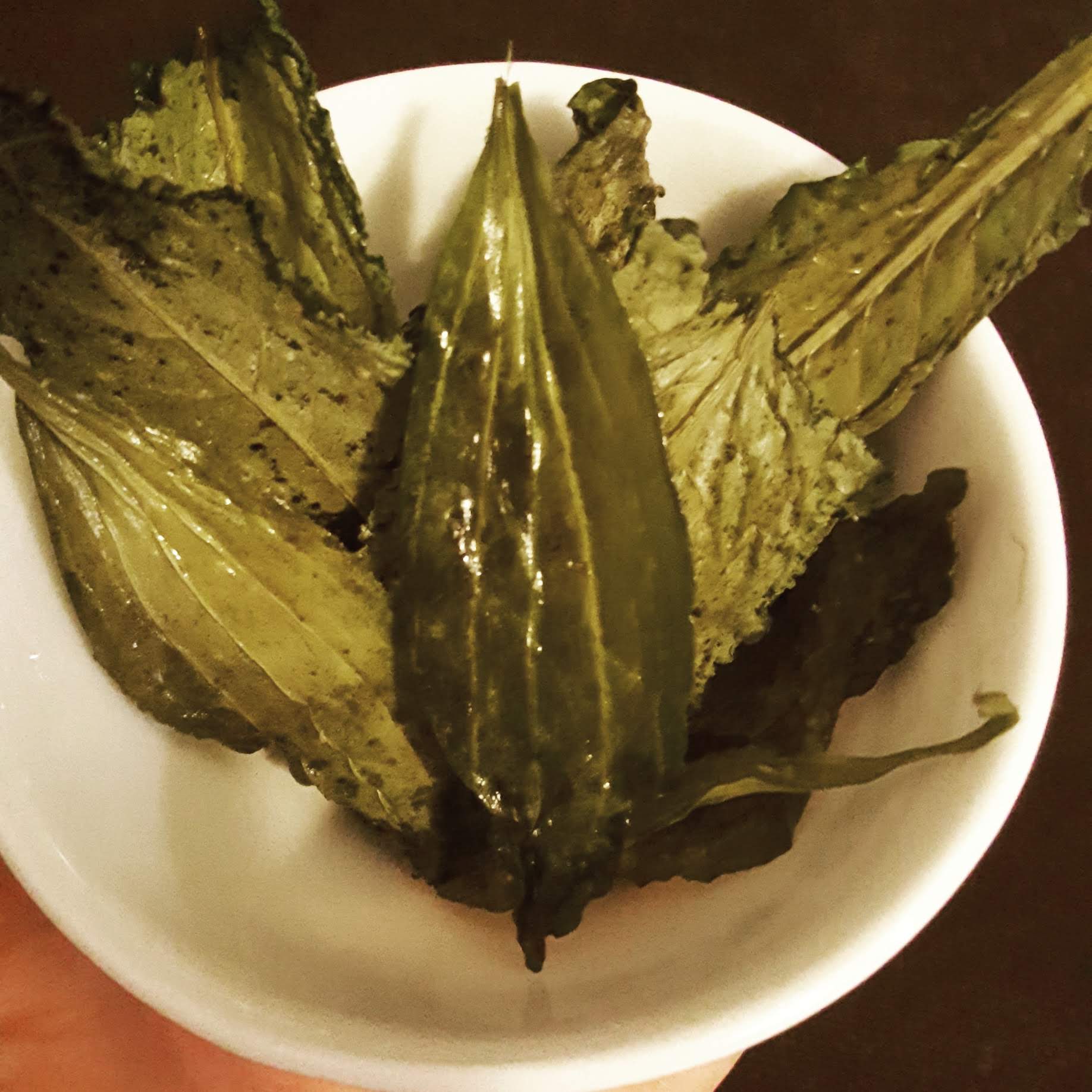 Fresh wild greens and berries in a wooden bowl, representing the hands-on results of Foraging Academy’s certification classes.