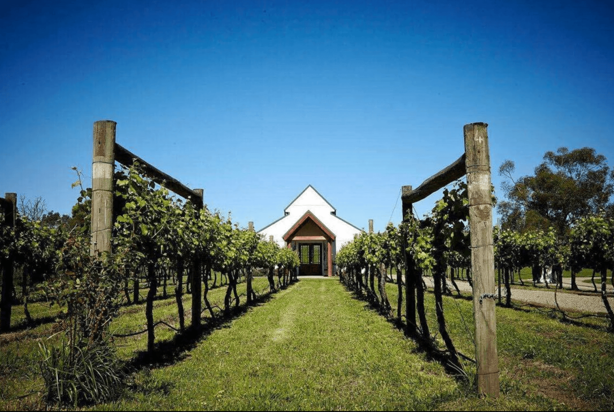 Immerse Winery Yarra Valley