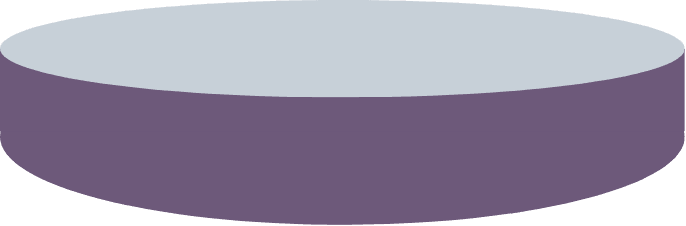 Burger Tomato and Onions