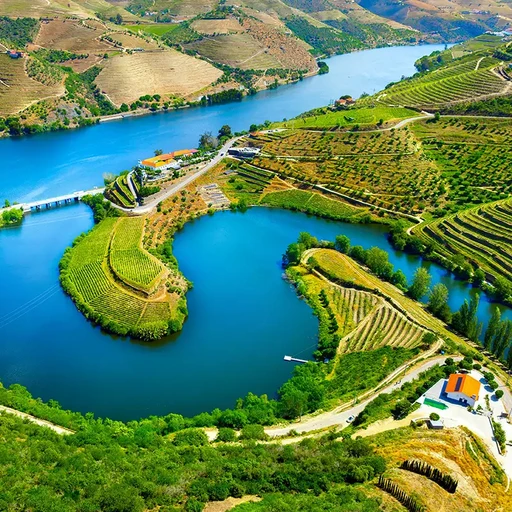 Fottur i Douro-dalen i Portugal - vin, kultur og UNESCO-arv