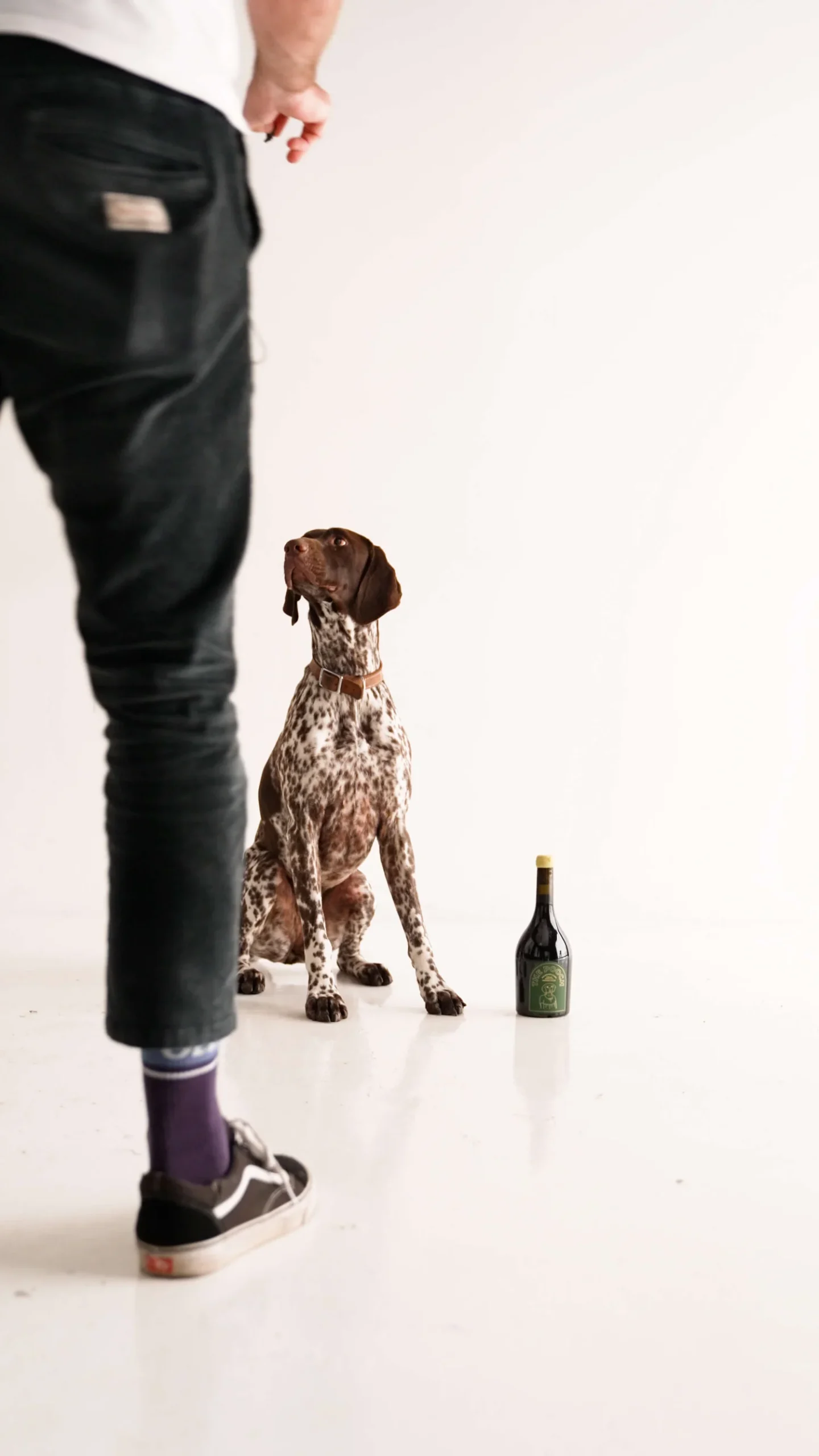 Man standing behind a dog sitting beside a wine bottle in a white studio