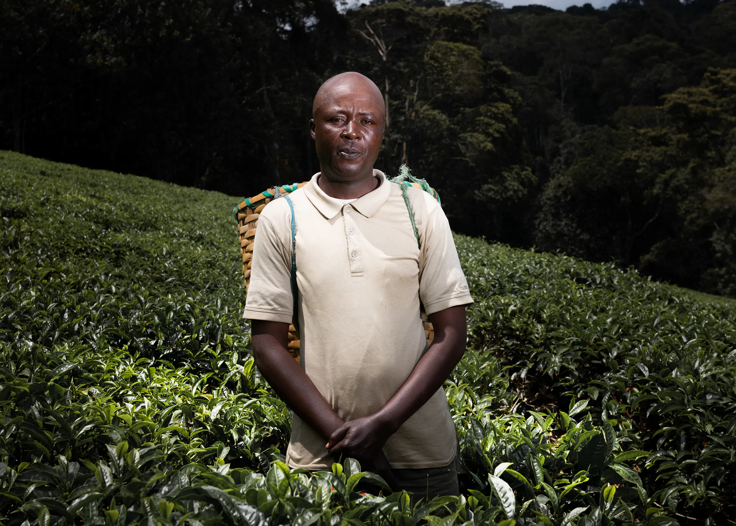 A grounded portrait of a male coffee farmer wearing a backpack basket in a Kenan coffee farm.