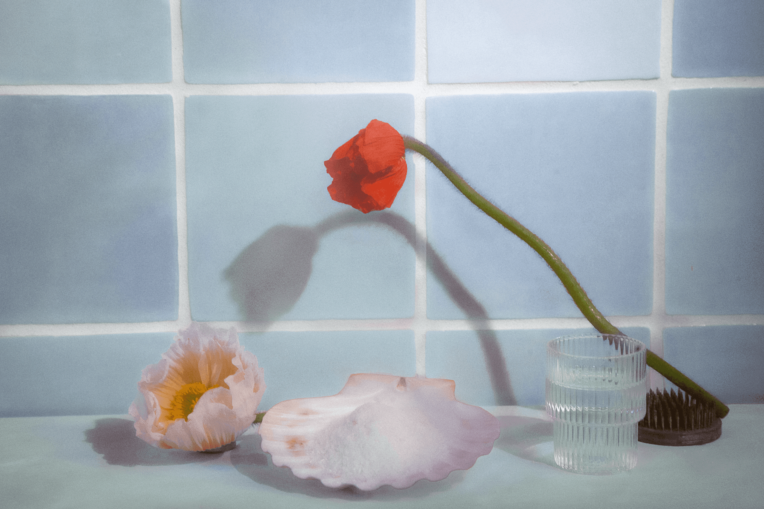 A single red poppy flower with a long green stem rests on a light blue tiled surface. To the left, a pale pink flower lies flat, and a white seashell sits beside it. To the right, a clear glass filled with water is placed next to a dark brown wooden object with a textured surface. The background consists of pale blue tiles with white grout lines.