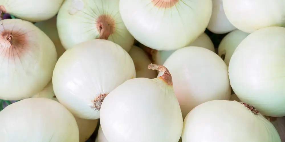 two people looking at a tablet and smiling