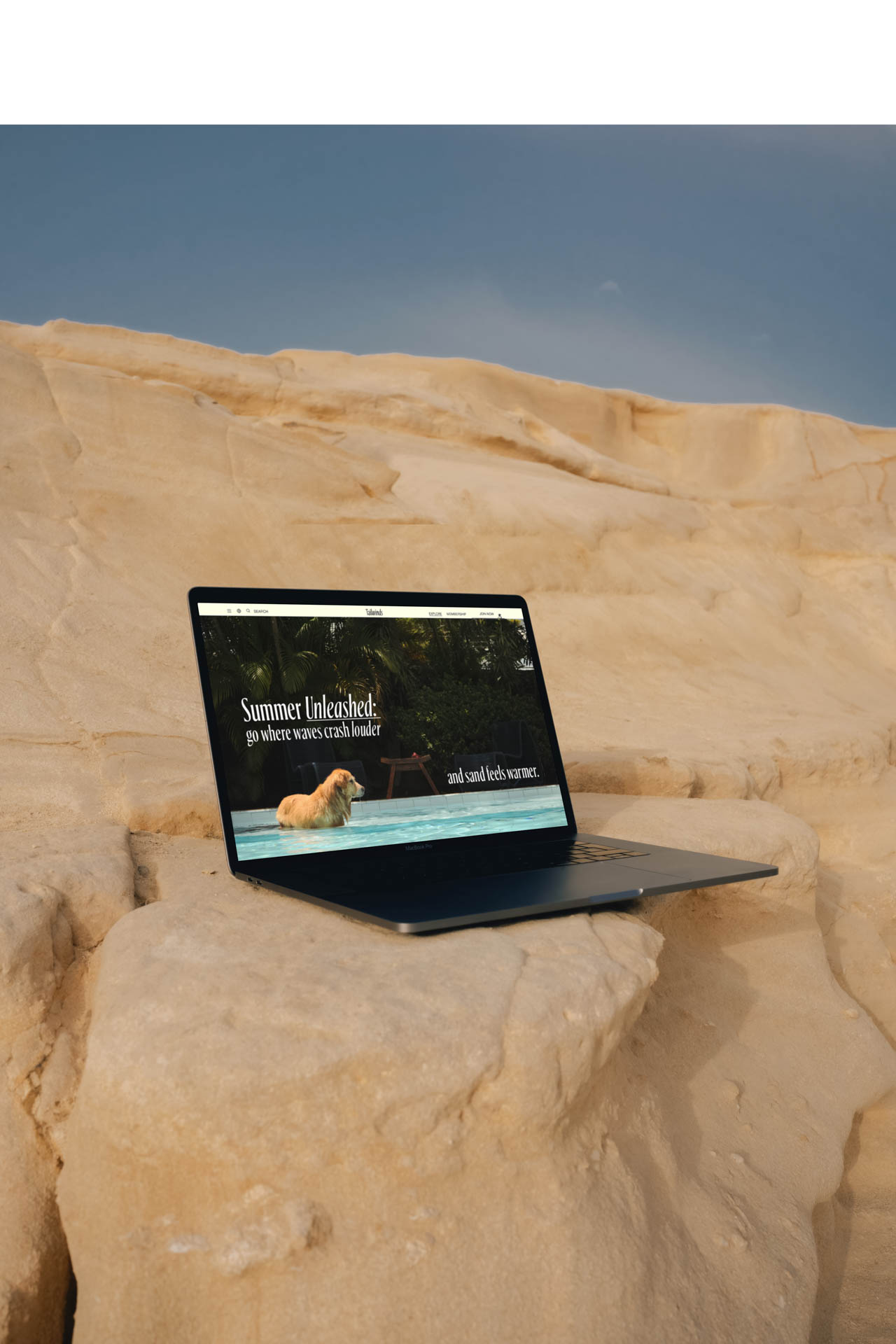 A black laptop is open and resting on a light beige rock formation. The screen displays a webpage with the title "Summer Unleashed: The best beaches in Greece." A small tan dog is visible on the water near the laptop. The background shows a clear blue sky.