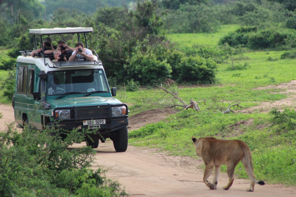 Game-Drives-in-Murchison-Falls-National-Park