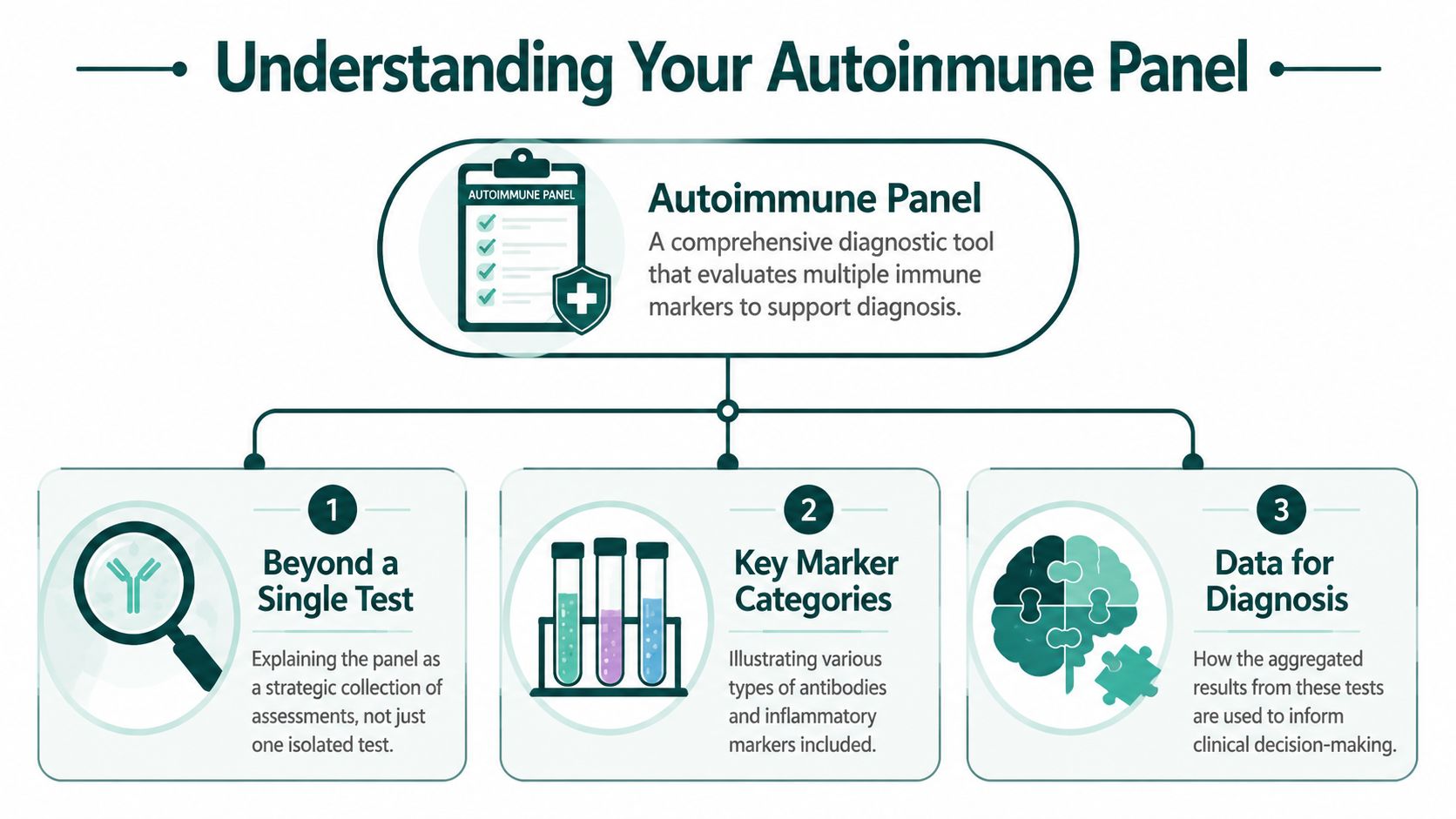 An infographic titled Understanding Your Autoinmune Panel, explaining its role in diagnosis and immune marker assessment.