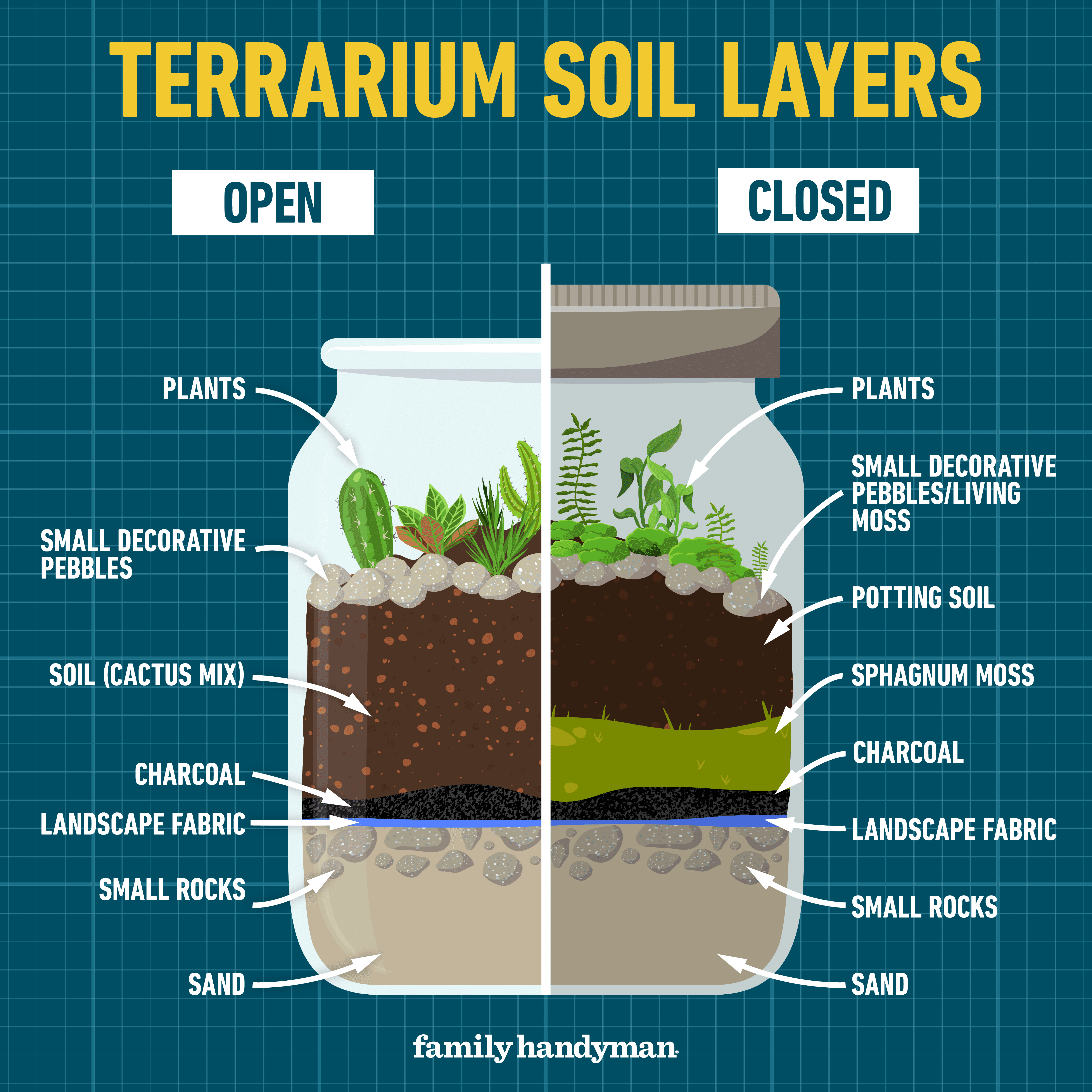 How to Make a Terrarium — labelled diagram comparing soil layers in open and closed terrariums.