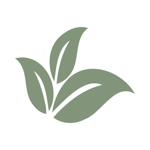 Asesor arquitectonico