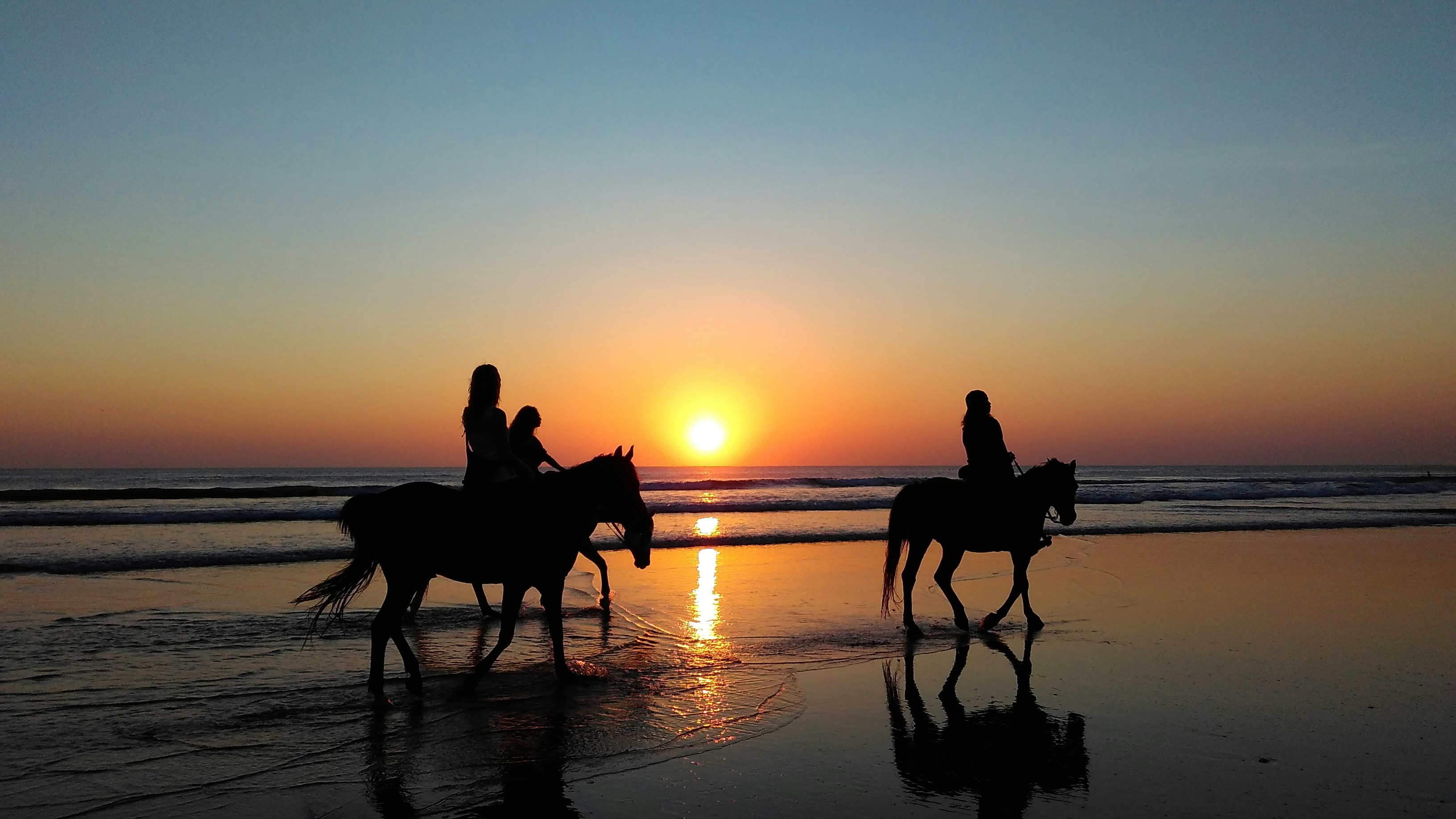 Cape Town: Beach Horse Ride