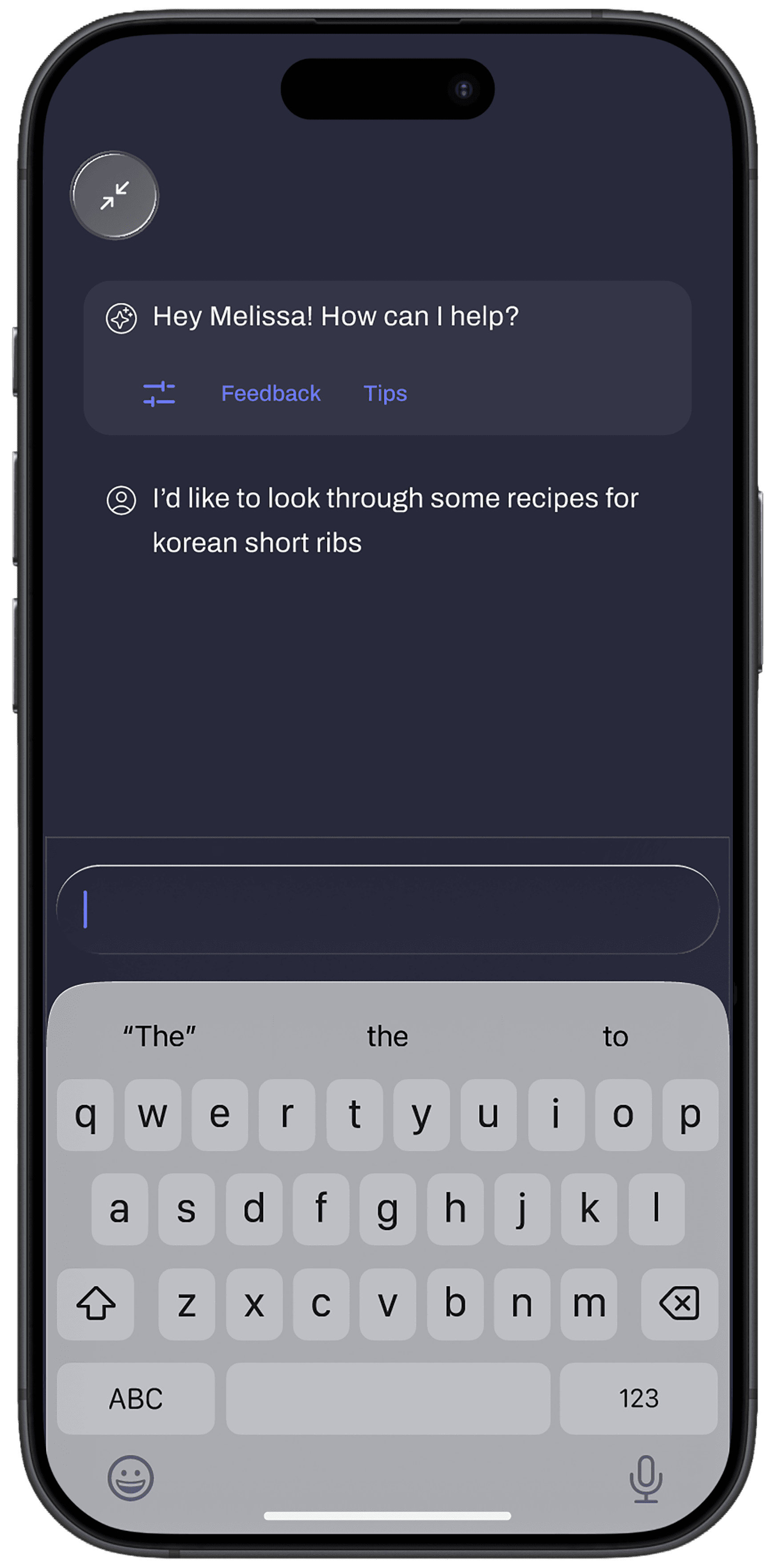 Overlay for chatting with Roo. See conversation transcript and keyboard.