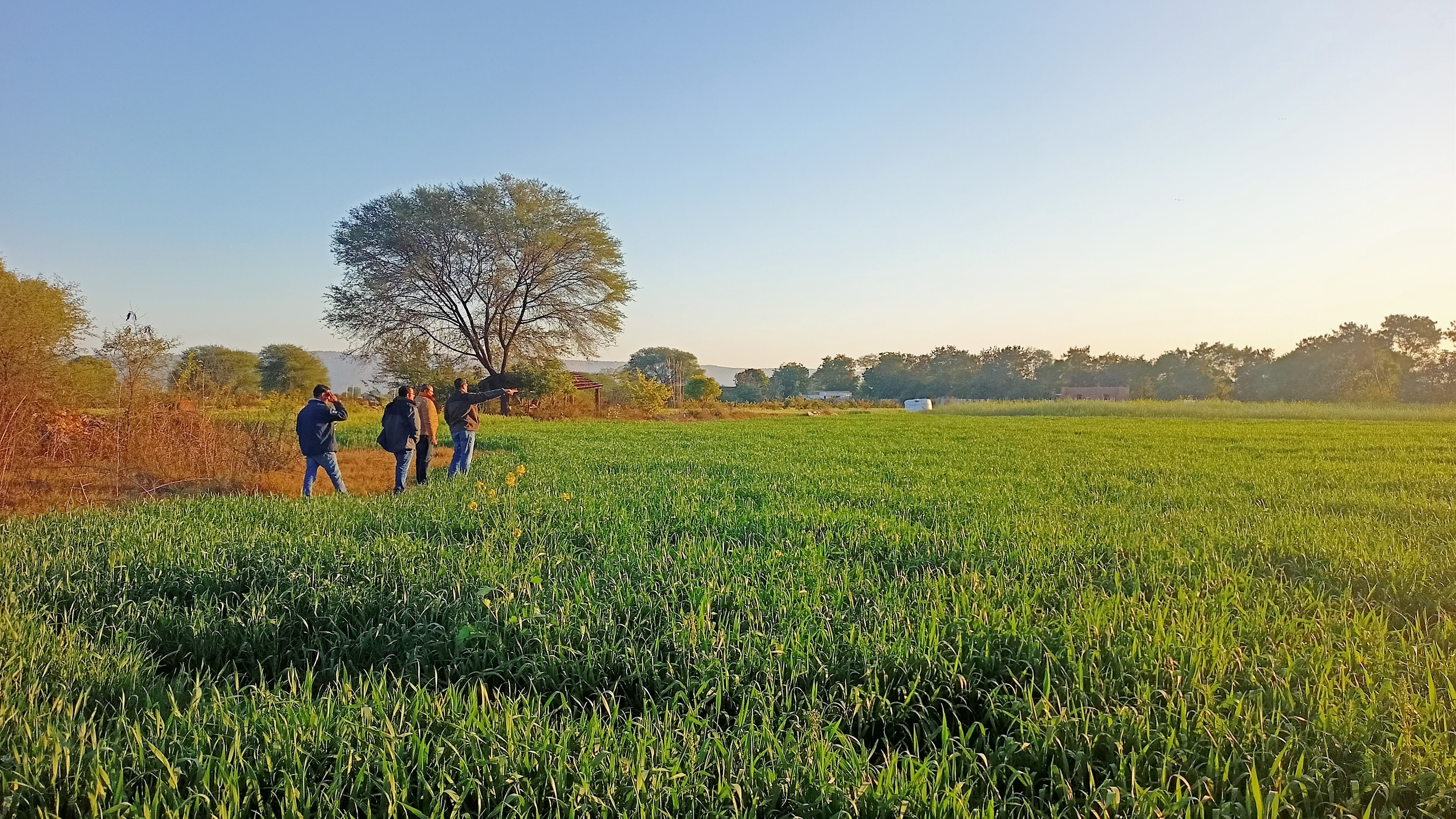 Cyril Amarchand Mangaldas