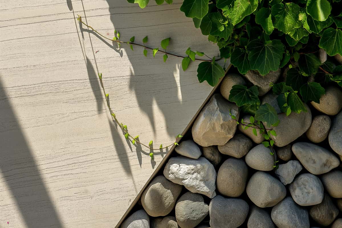 Stone and plant detail near patio edge, clean landscaping materials and finishing