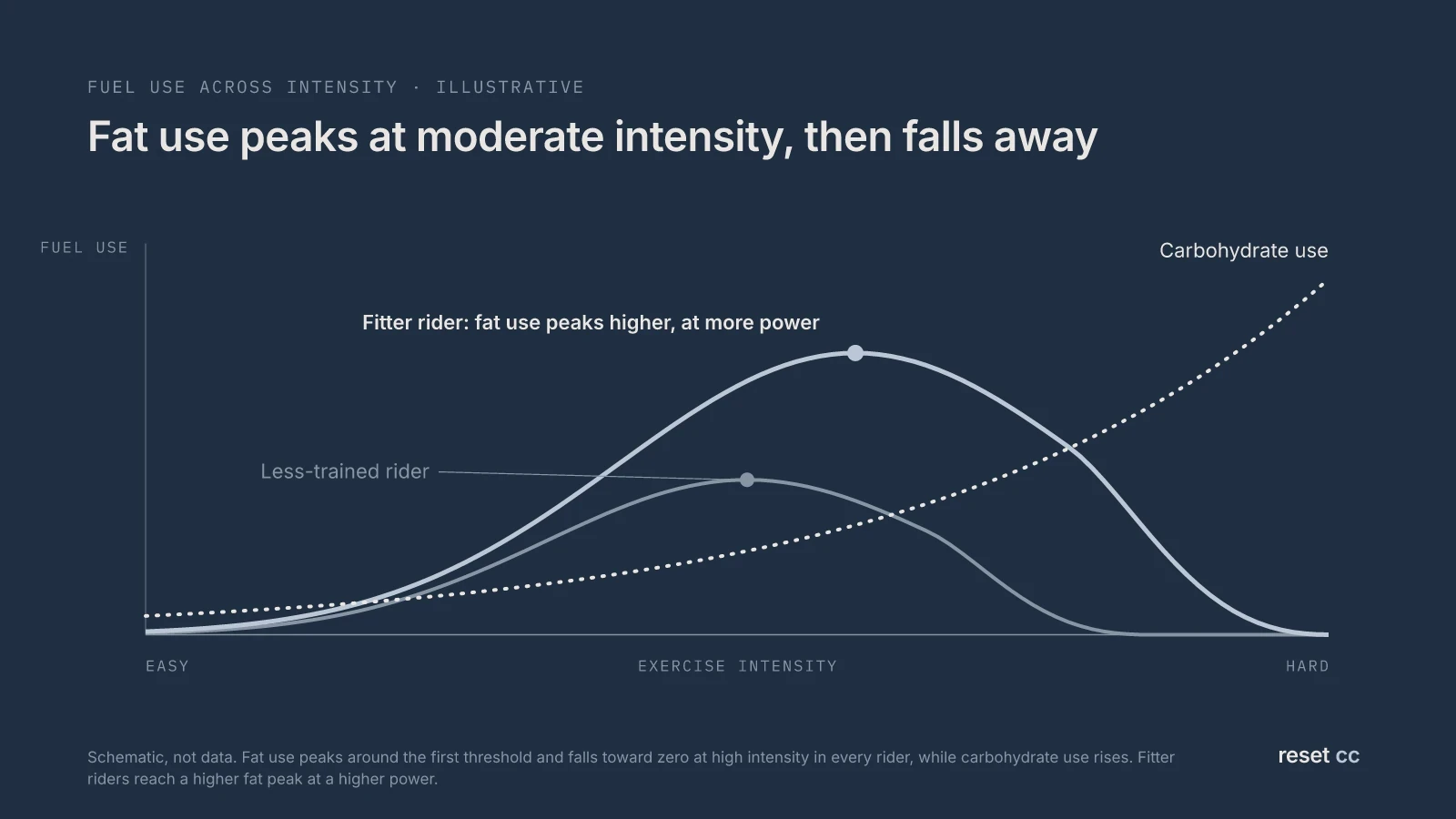 Fat and carbohydrate use across exercise intensity: fat use peaks at moderate intensity and falls toward zero at high intensity while carbohydrate use rises; fitter riders reach a higher fat peak at a higher power. Illustrative
