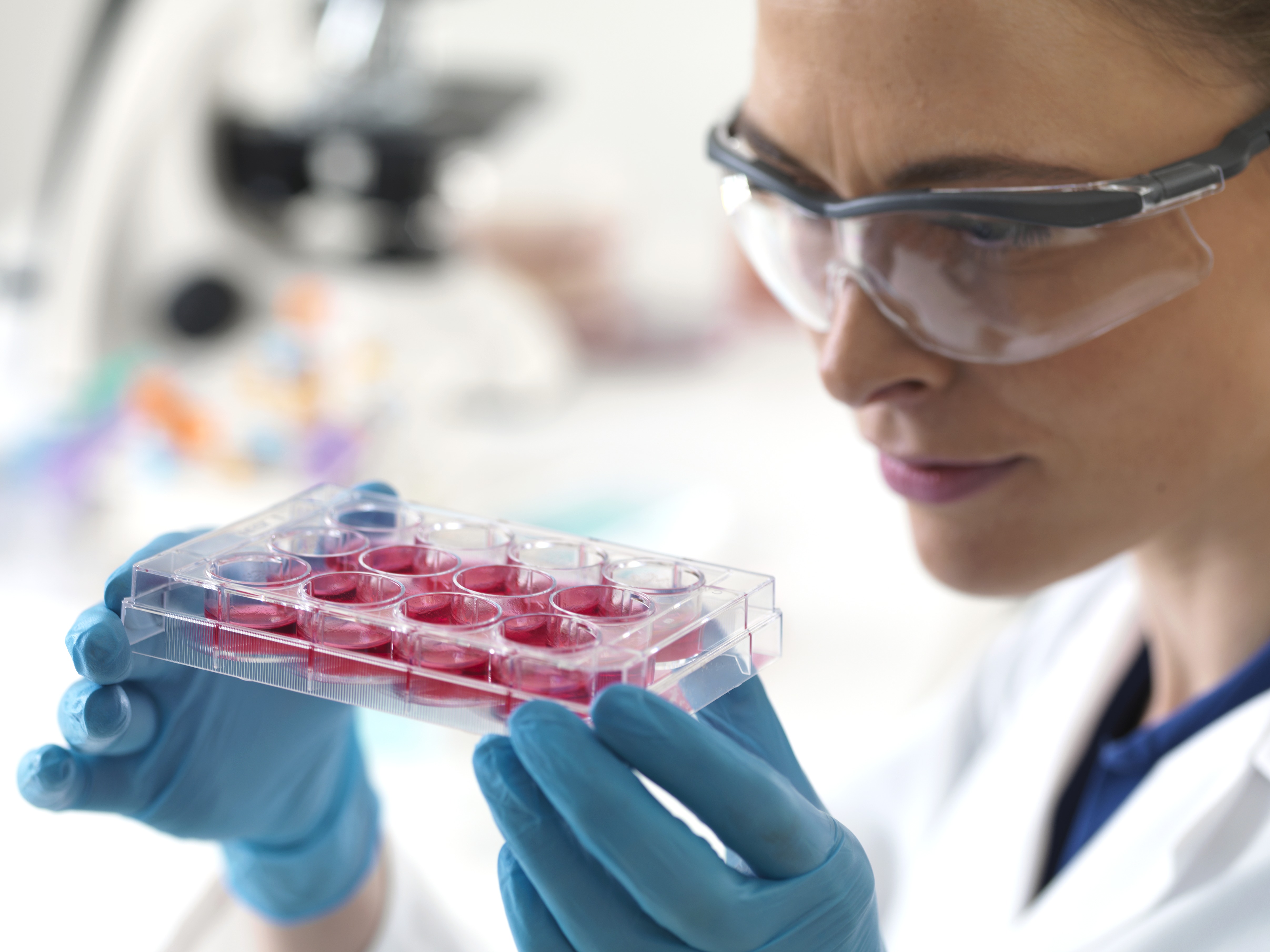 image of a scientist observing a sample