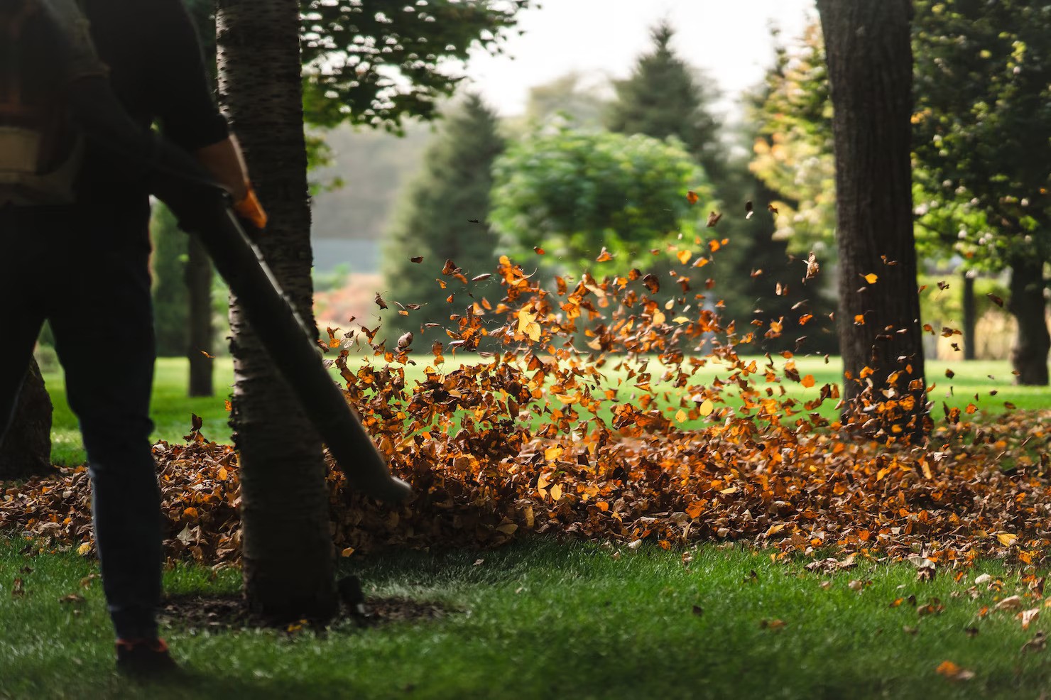 Travaux d’entretien de terrain avec souffleur à feuilles pendant une journée ensoleillée d’automne.