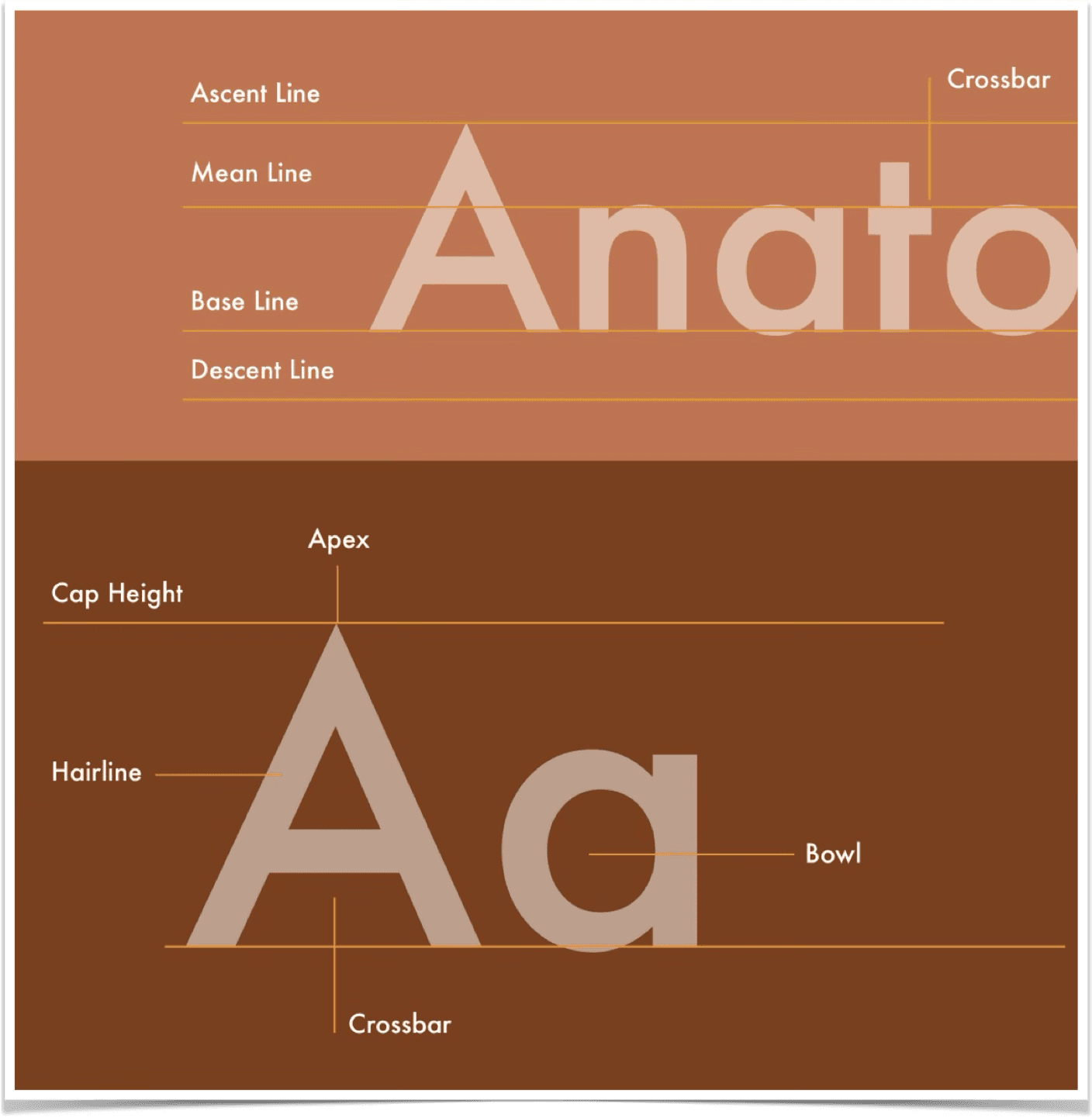 An image showing Futura's typographic anatomy.