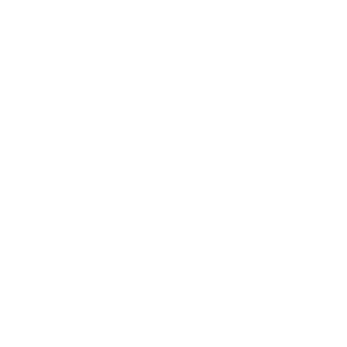 Vector