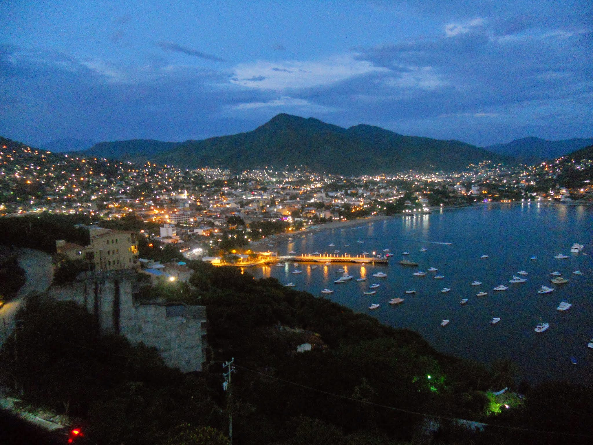 Mexico, sailfish, rooster, mahi mahi