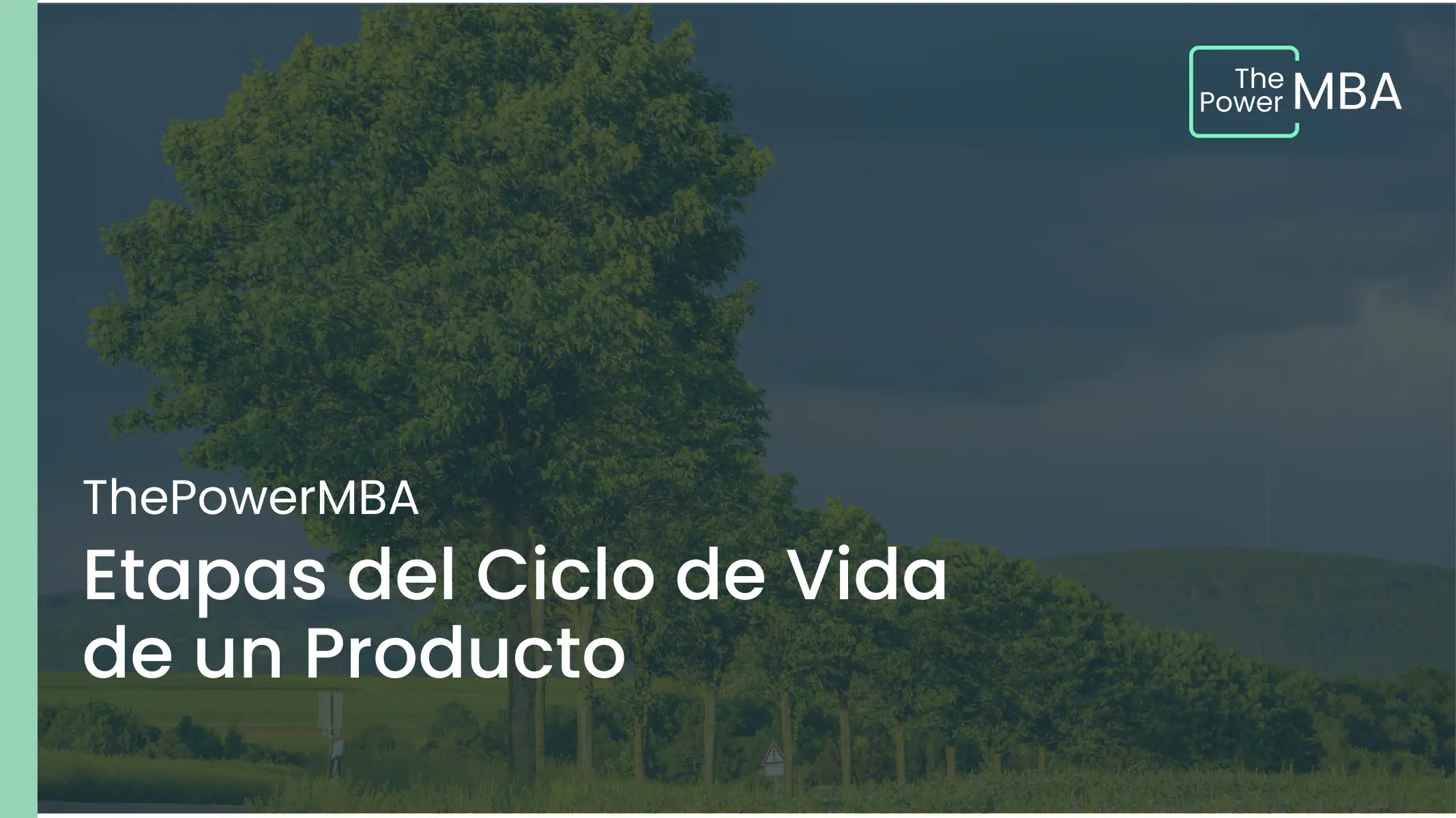 Etapas del Ciclo de Vida de un Producto en LATAM