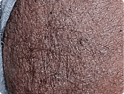 An image of Freelio's project ui