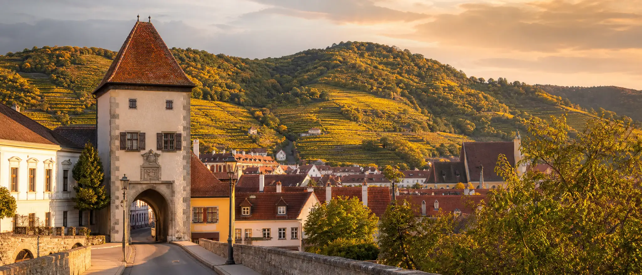 Krems an der Donau mit Wachau-Weinbergen und Stein-Altstadt, Symbolbild für niederösterreichischen Wachau-Hauskrankenpflege-Markt