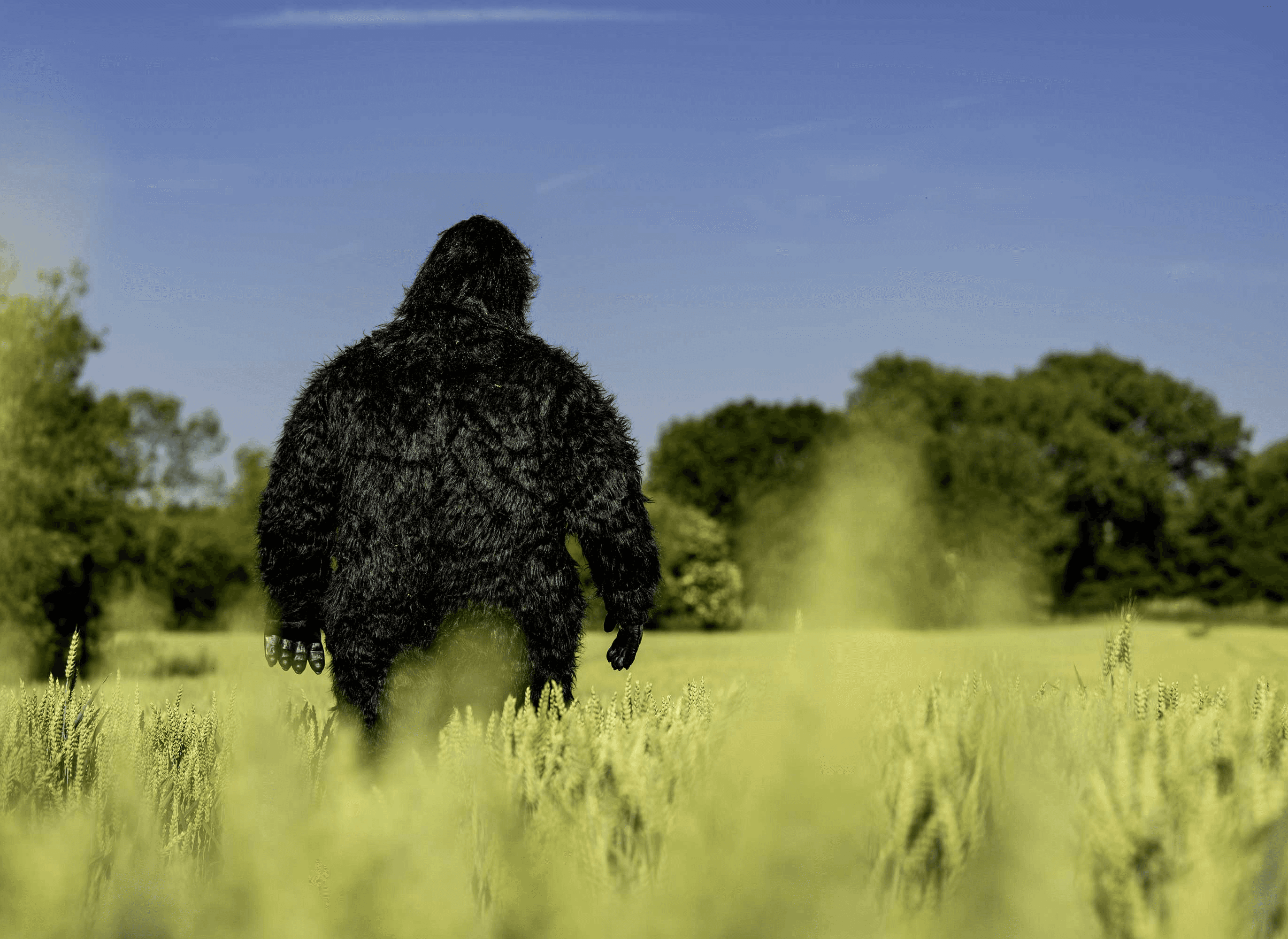Greemp dressed as Bigfoot standing in a green landscape to advertise nature.