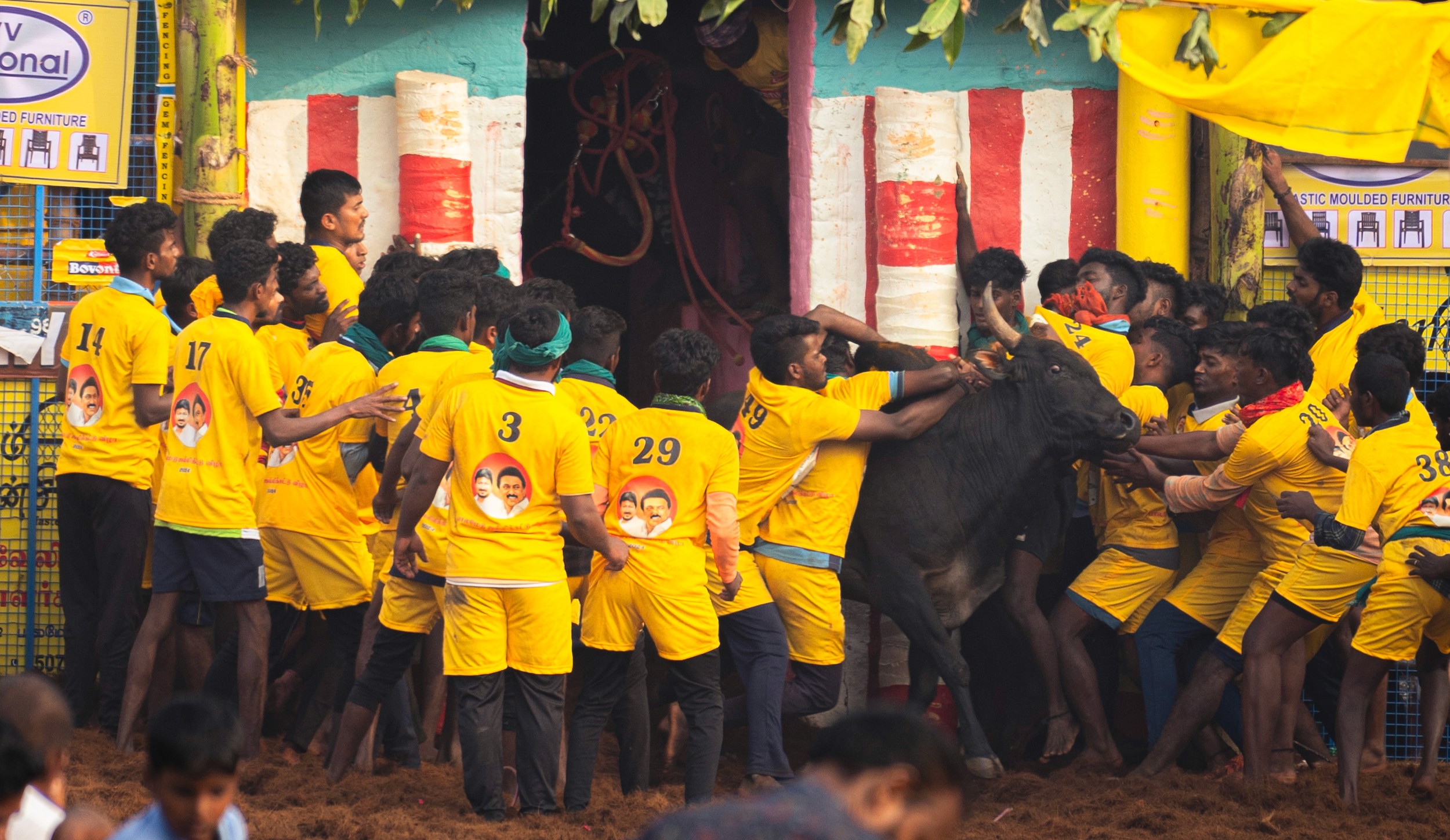 The Collective Body — Individual identity dissolves into a tidal wave of faith as the crowd presses against the raw power of the bull.