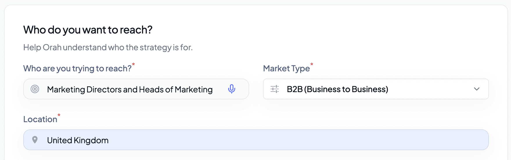 Marketing plan audience