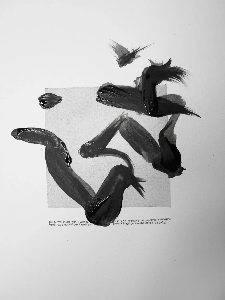 Compressed image