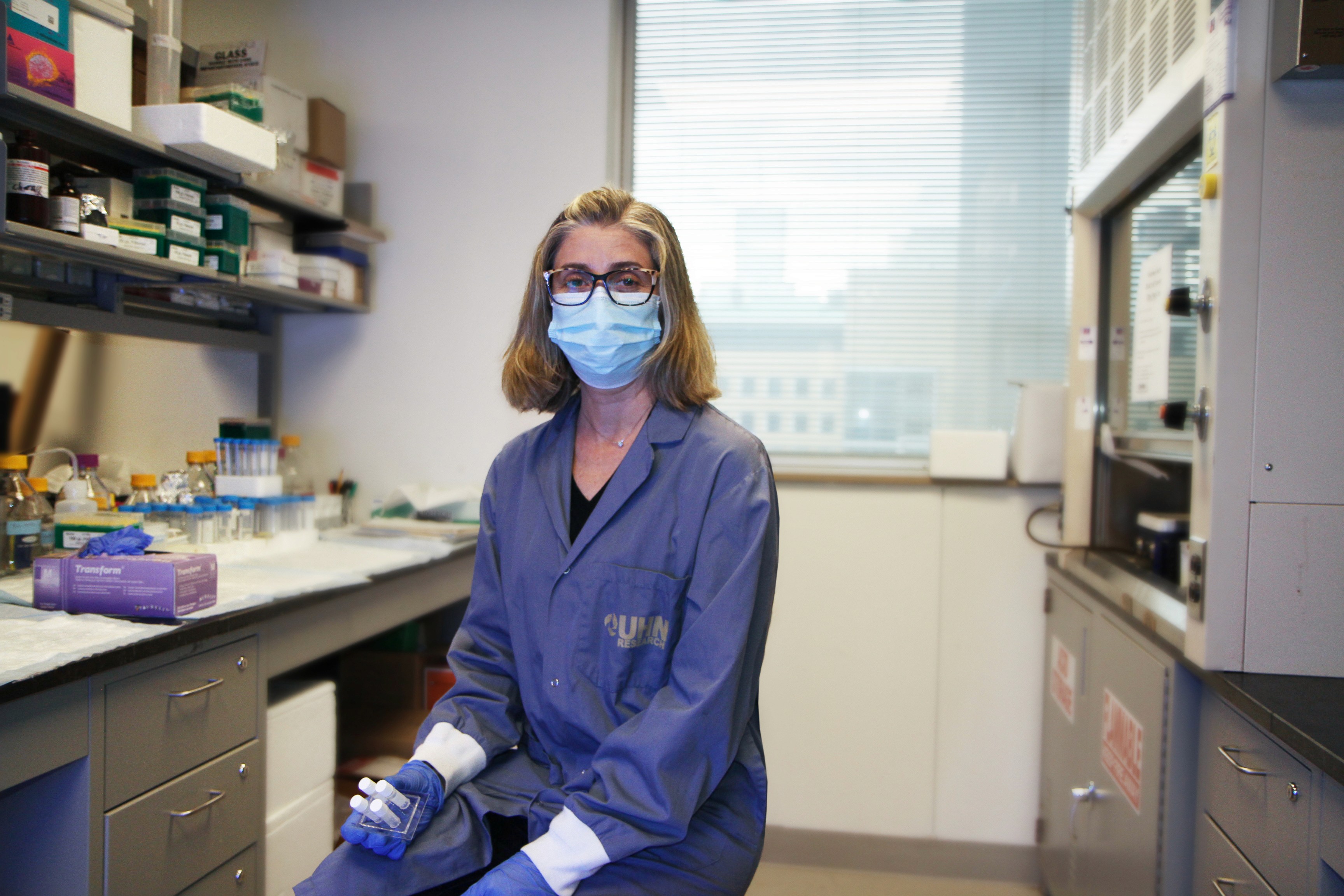 A green butterfly rests on a flower.