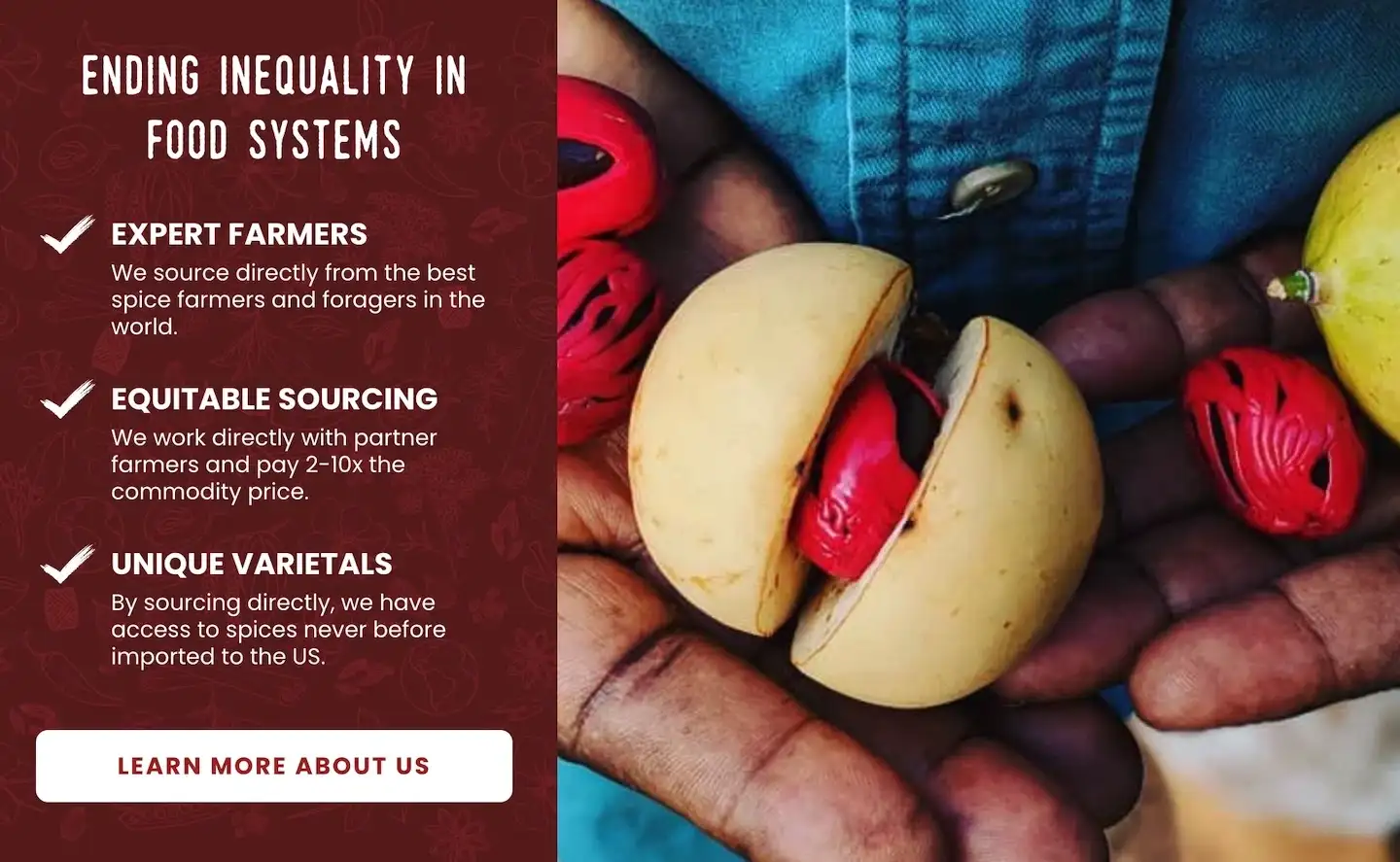 Burlap and Barrel Spice origin graphic