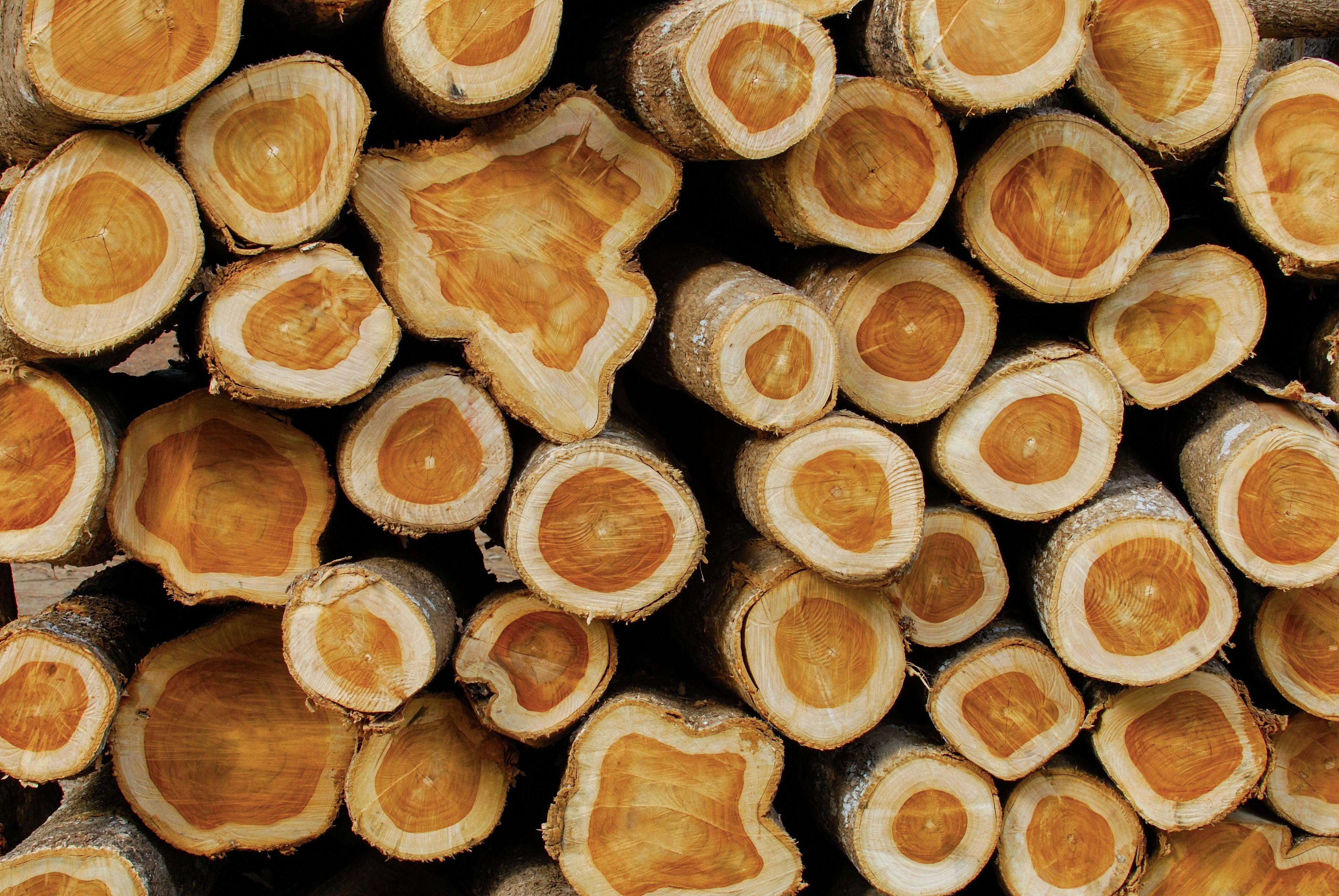 Athlete winning a race