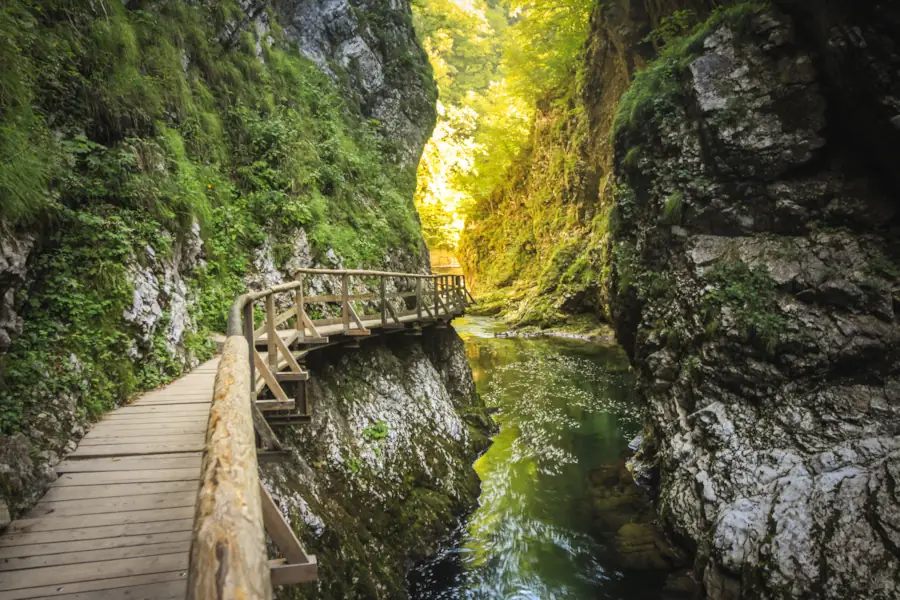 Vintgar Gorge near lake Bled in Slovenia on a spring morning.